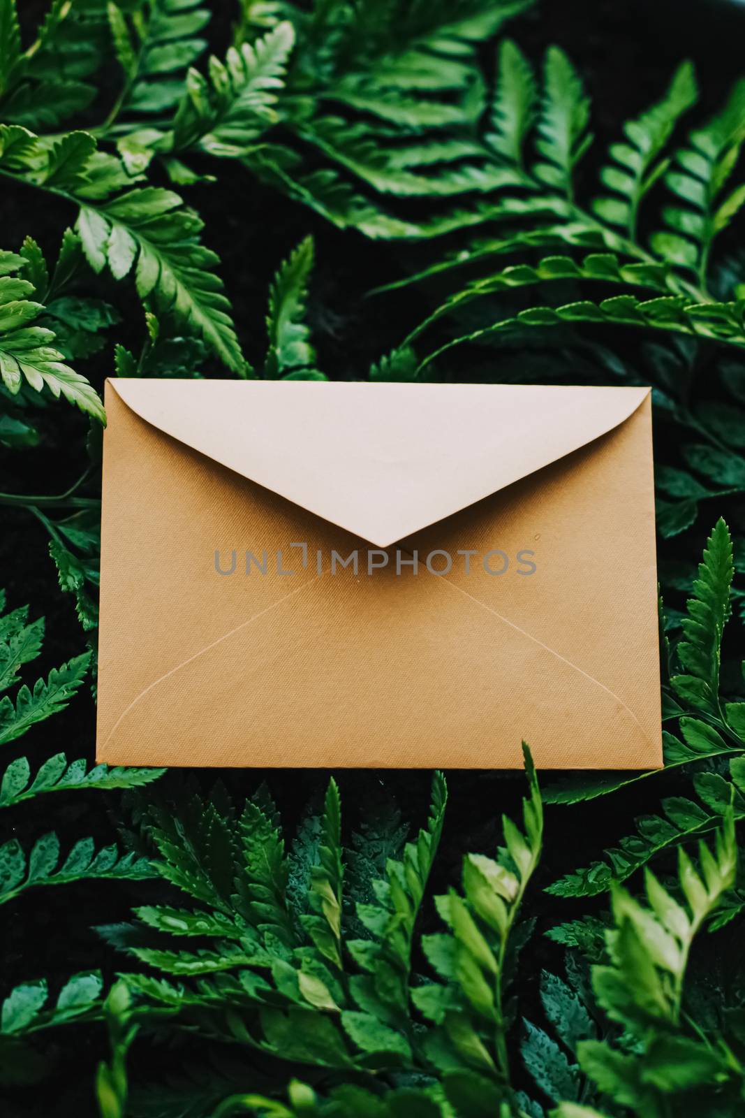 Blank envelope and green leaves in nature, paper card as background, correspondence and newsletter by Anneleven