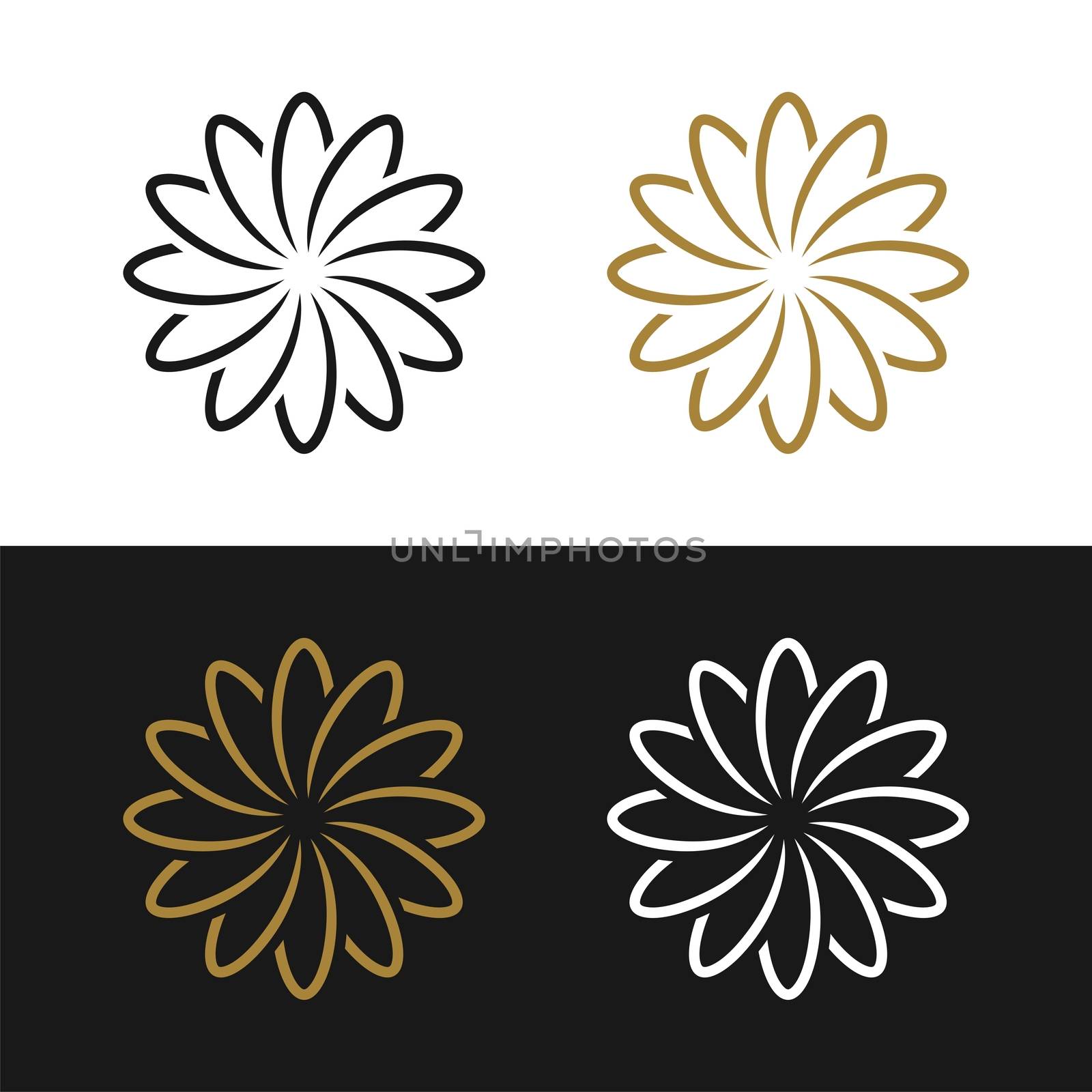 Set Gold Flower Pattern Ornament Logo Template Illustration Design. Vector EPS 10.