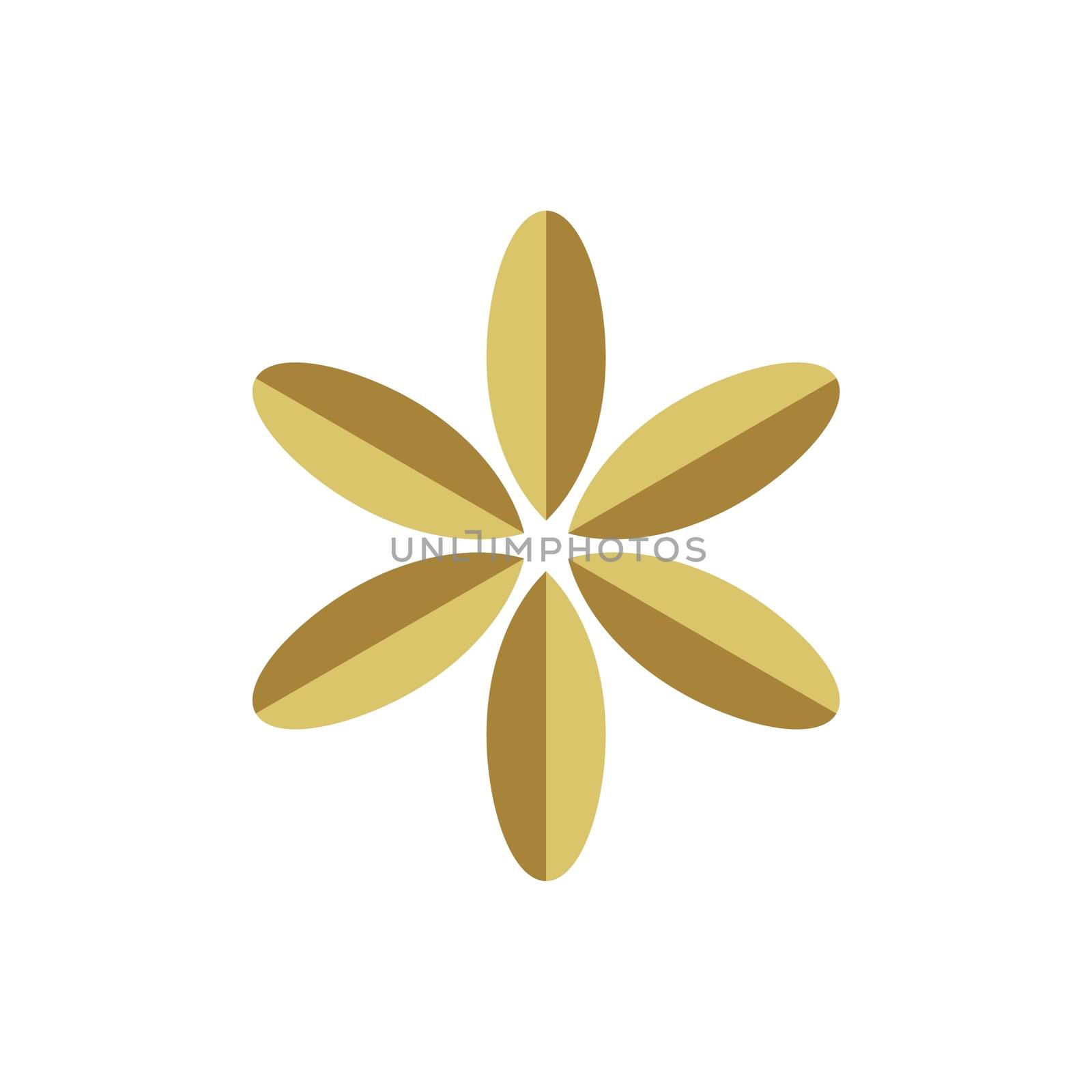 Gold Flower Pattern Ornament Logo Template Illustration Design. Vector EPS 10/