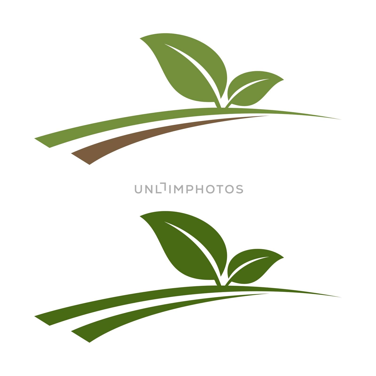 Green Leaf Growth Logo Template Illustration Design. Vector EPS 10. by soponyono1