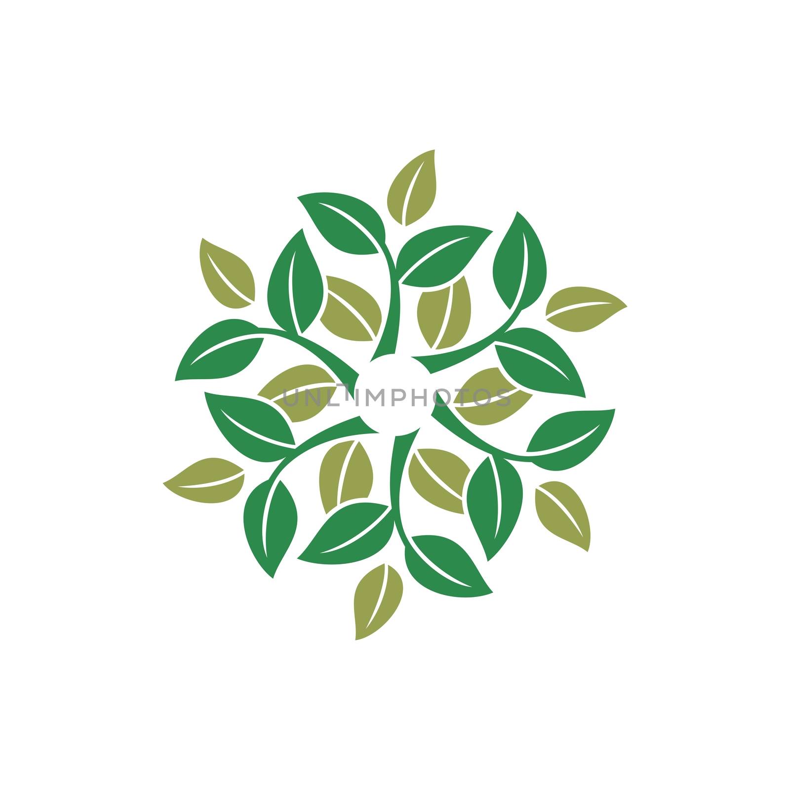 Green Leaves vector Logo Template Illustration Design. Vector EPS 10.