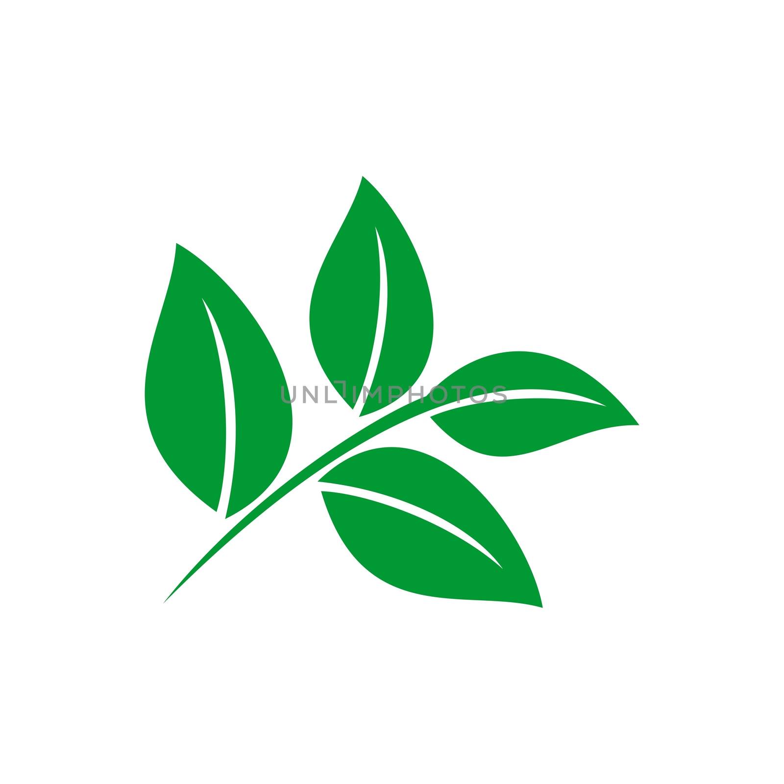 Green leaves vector logo template Illustration Design. Vector EPS 10. by soponyono1