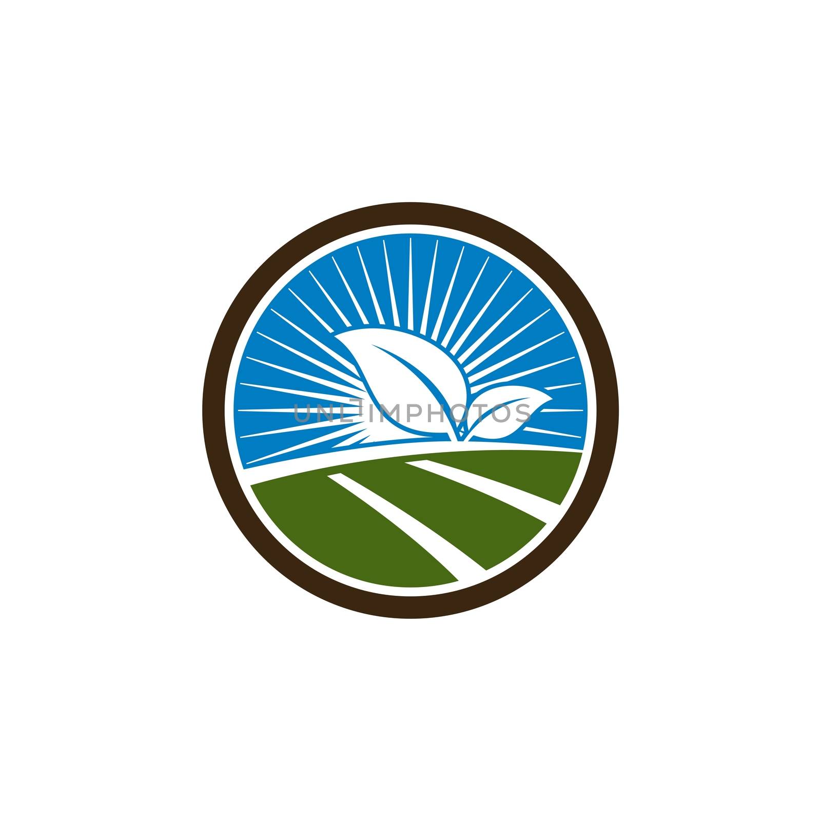Sunshine Farm Field Logo Template Illustration Design. Vector EPS 10.