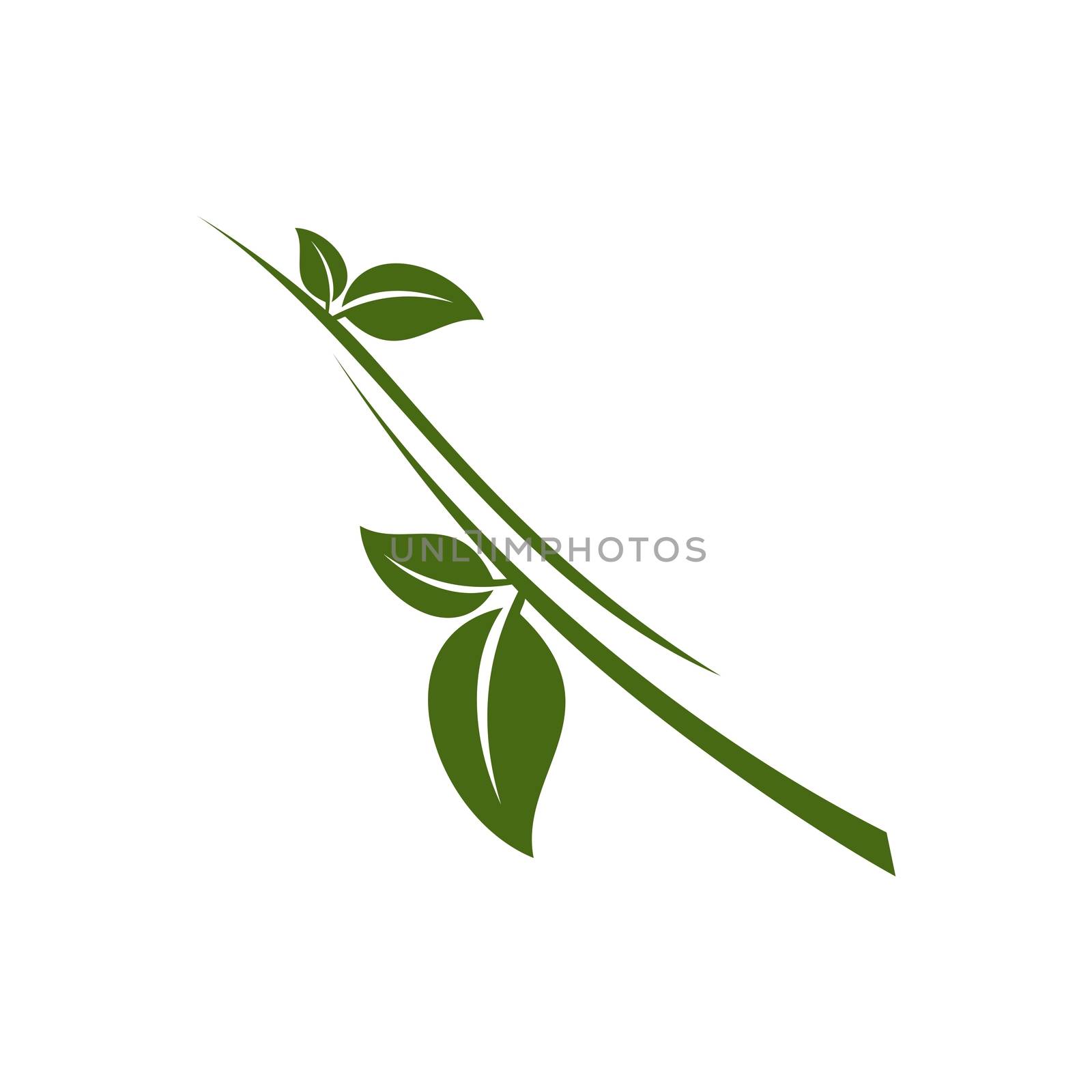Green Leaf Growth Logo Template Illustration Design. Vector EPS 10.