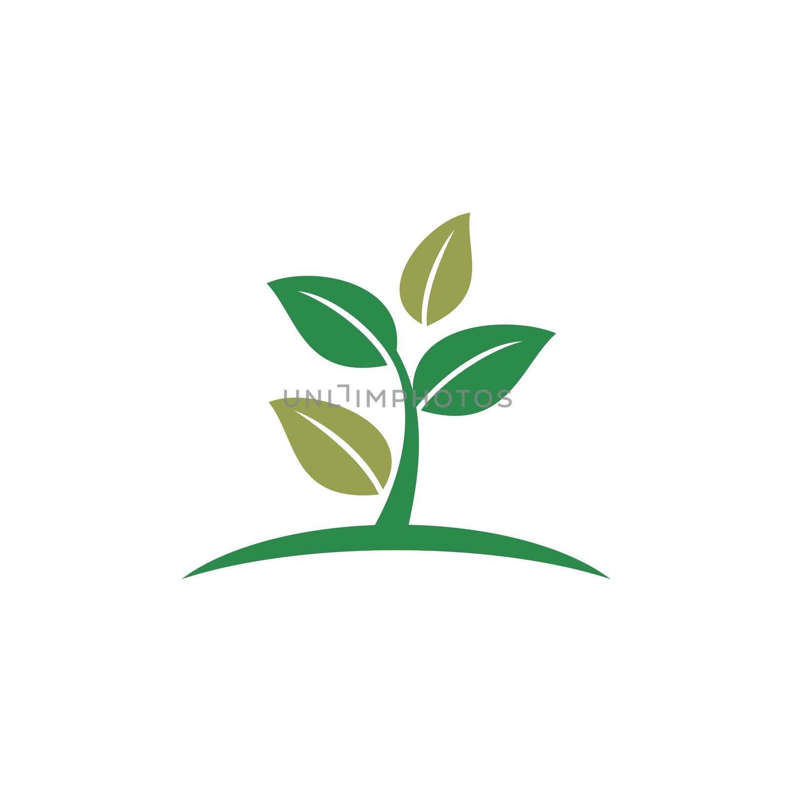Green Leaves vector Logo Template Illustration Design. Vector EPS 10. by soponyono1