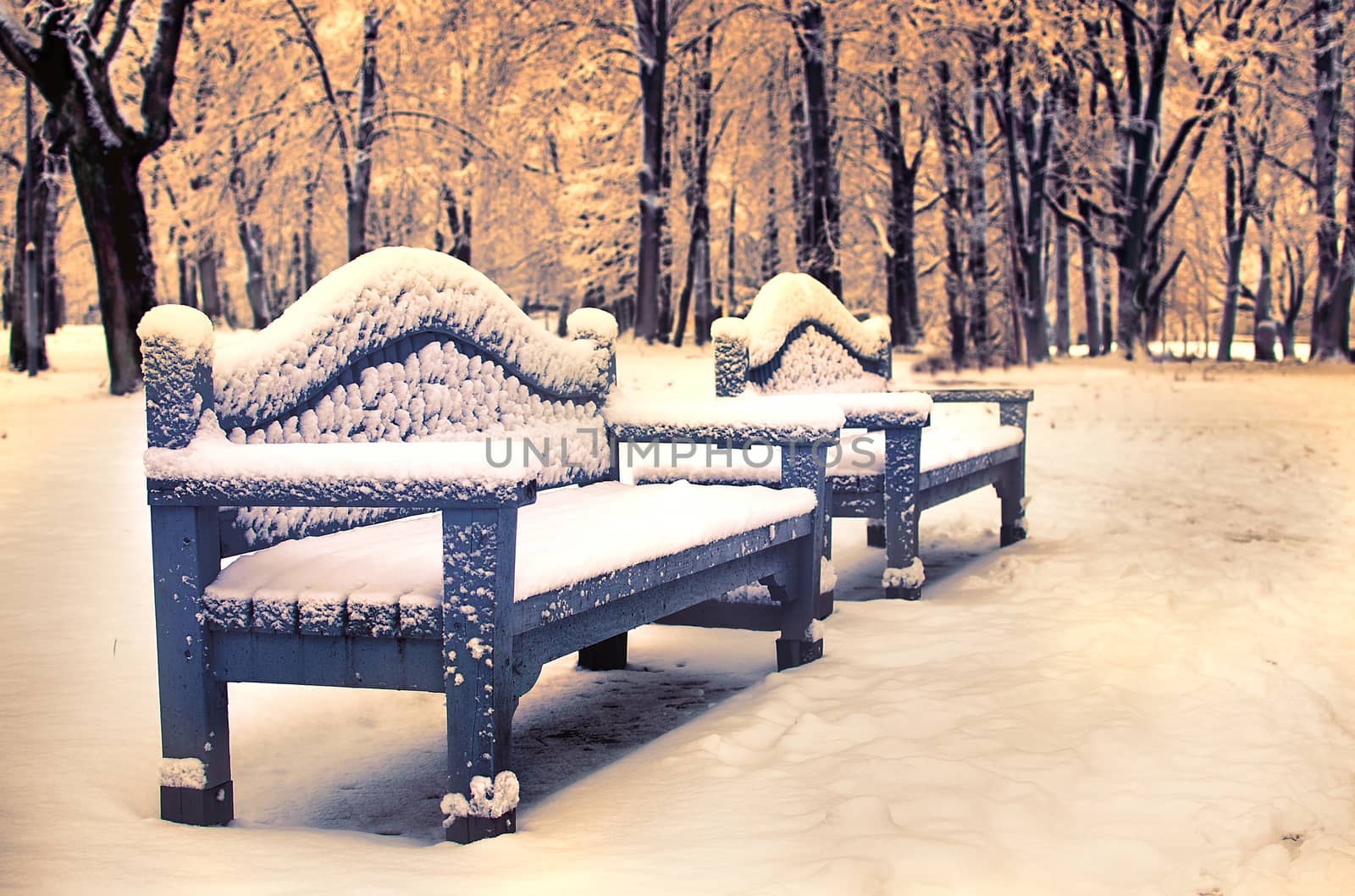 Two benches in city park covered with snow by KajaNi