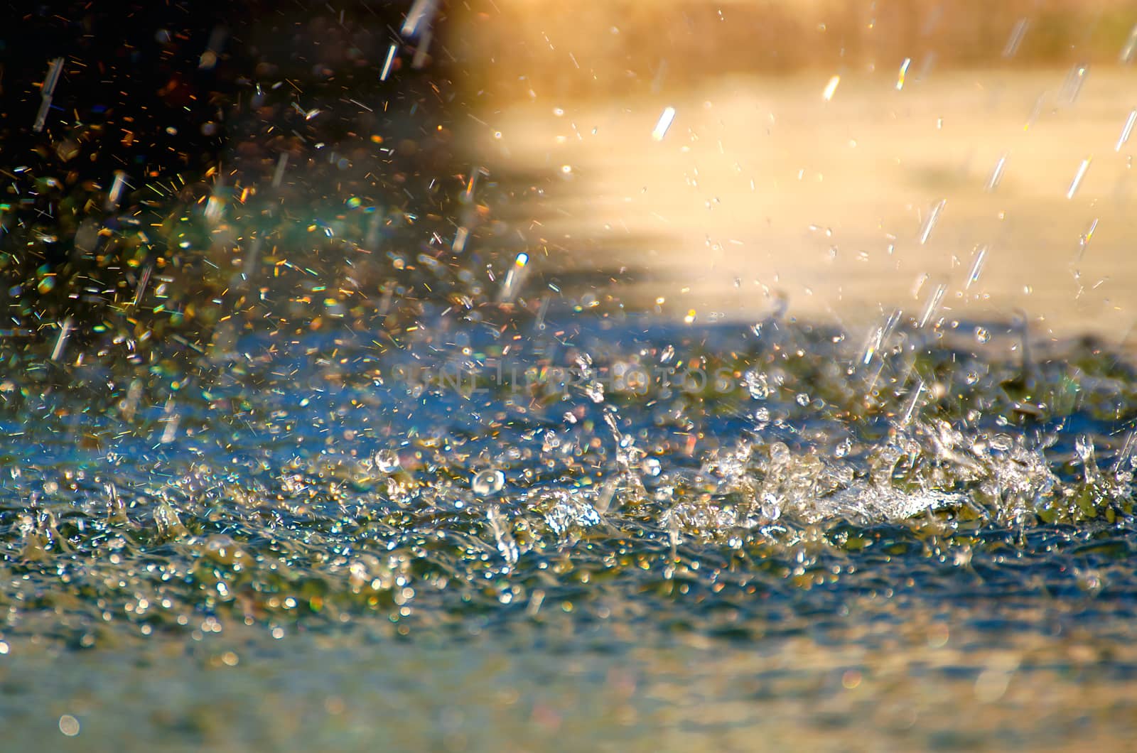 Drops of heavy rain on water