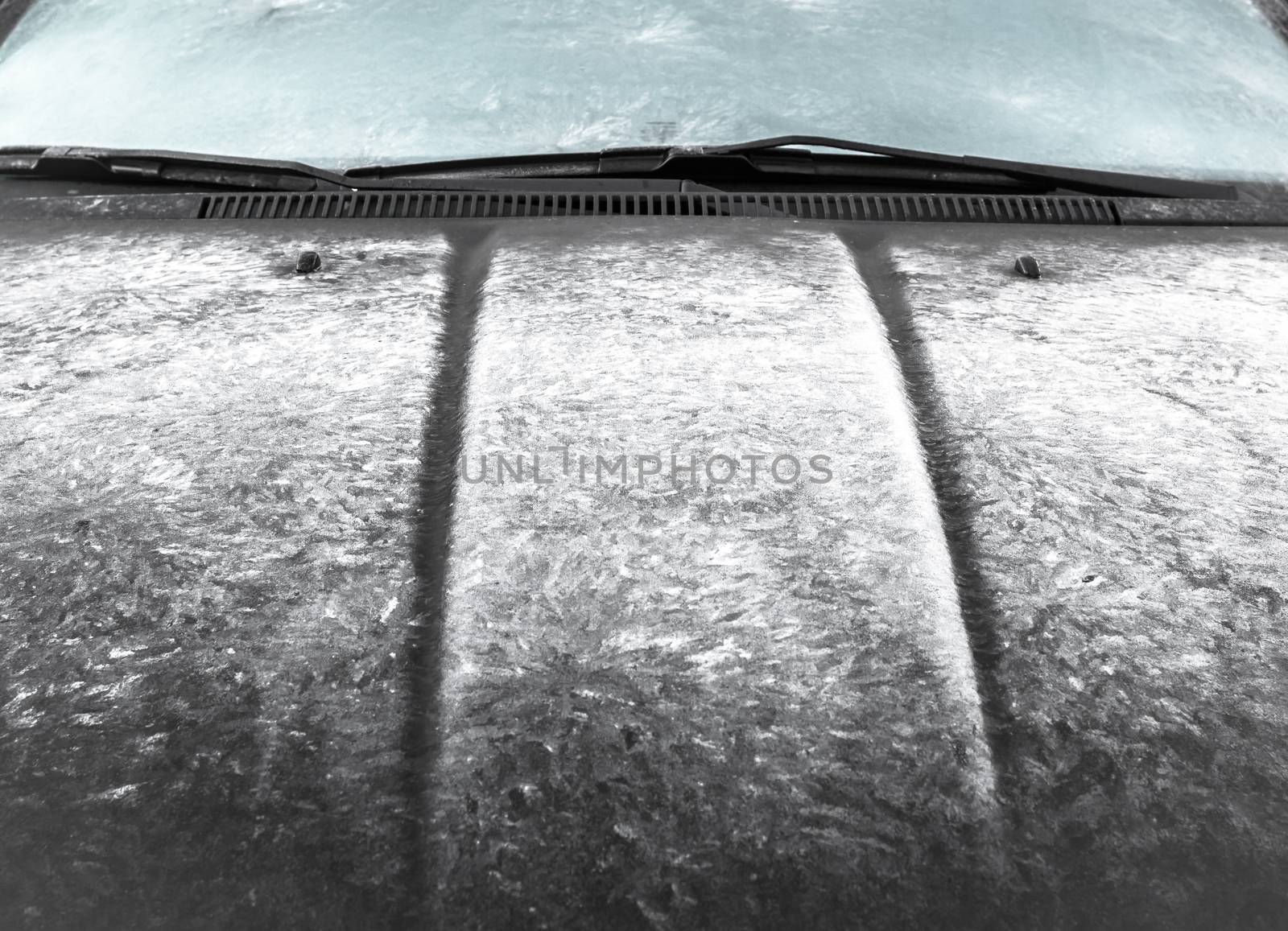Close-up of an icy car. Ideal for concepts.