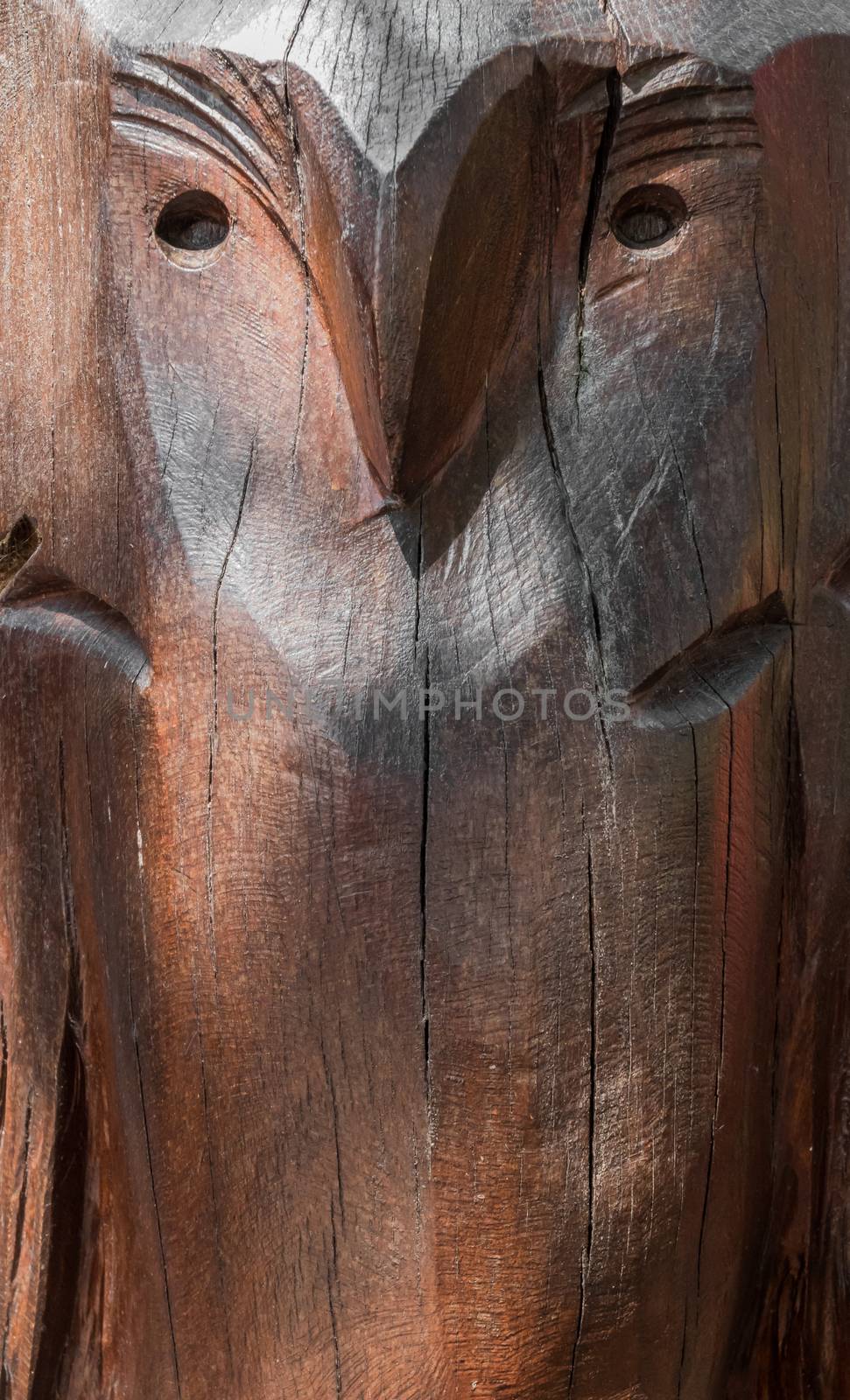 Wooden owl statue by germanopoli