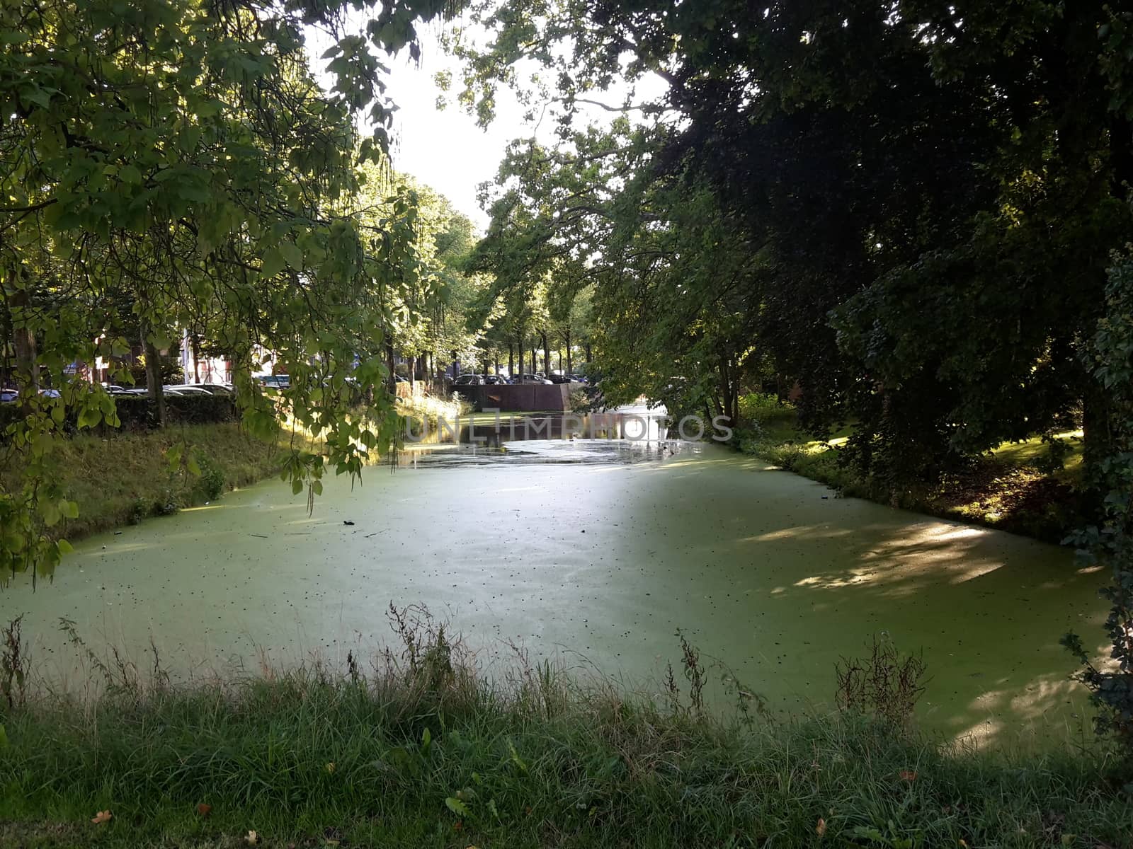 View of Ede-Wageningen, beautiful city in the Netherlands with an important university campus by matteobartolini