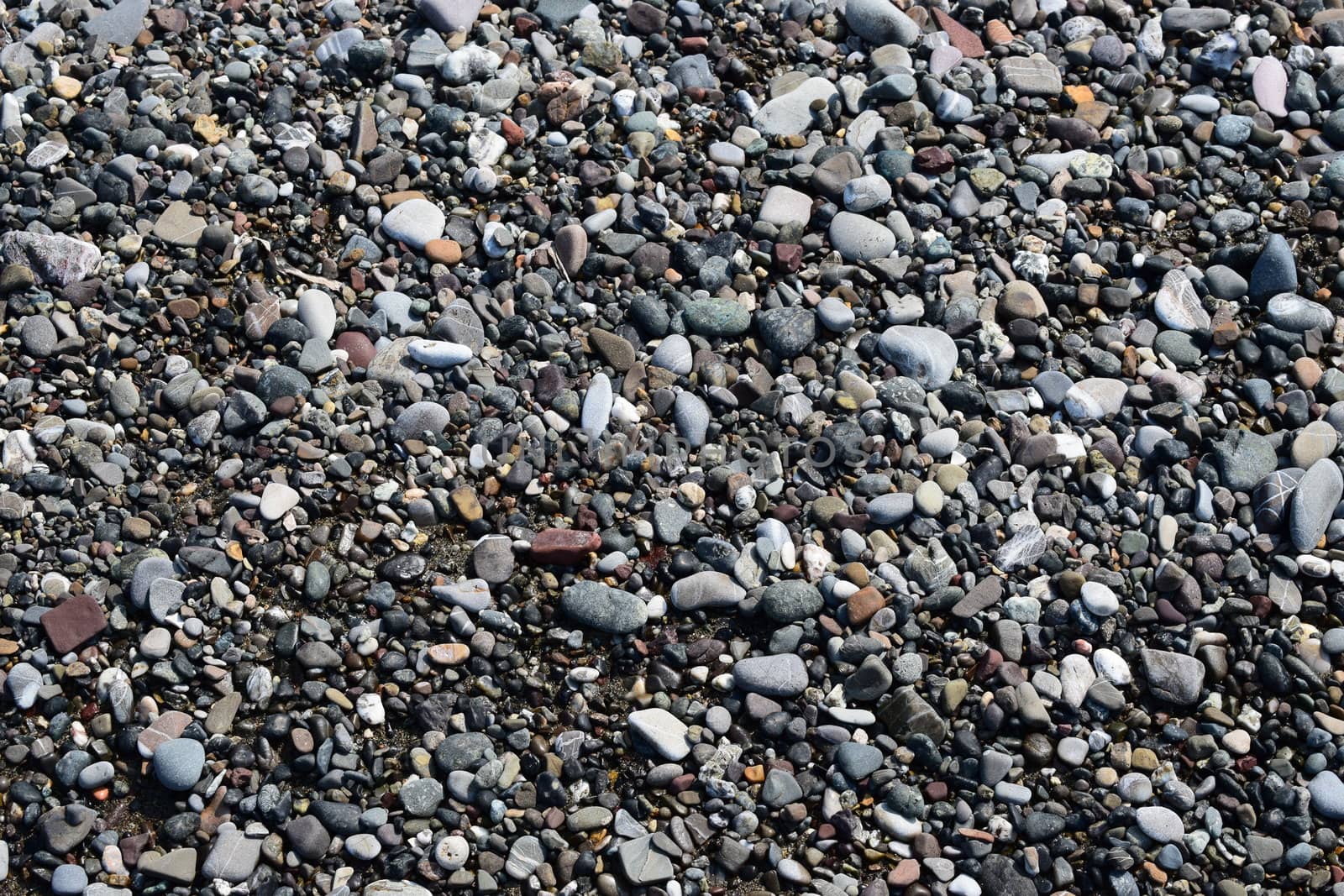 Beach sand of Marina di Cecina, Maremma, Tuscany, Italy, Europe