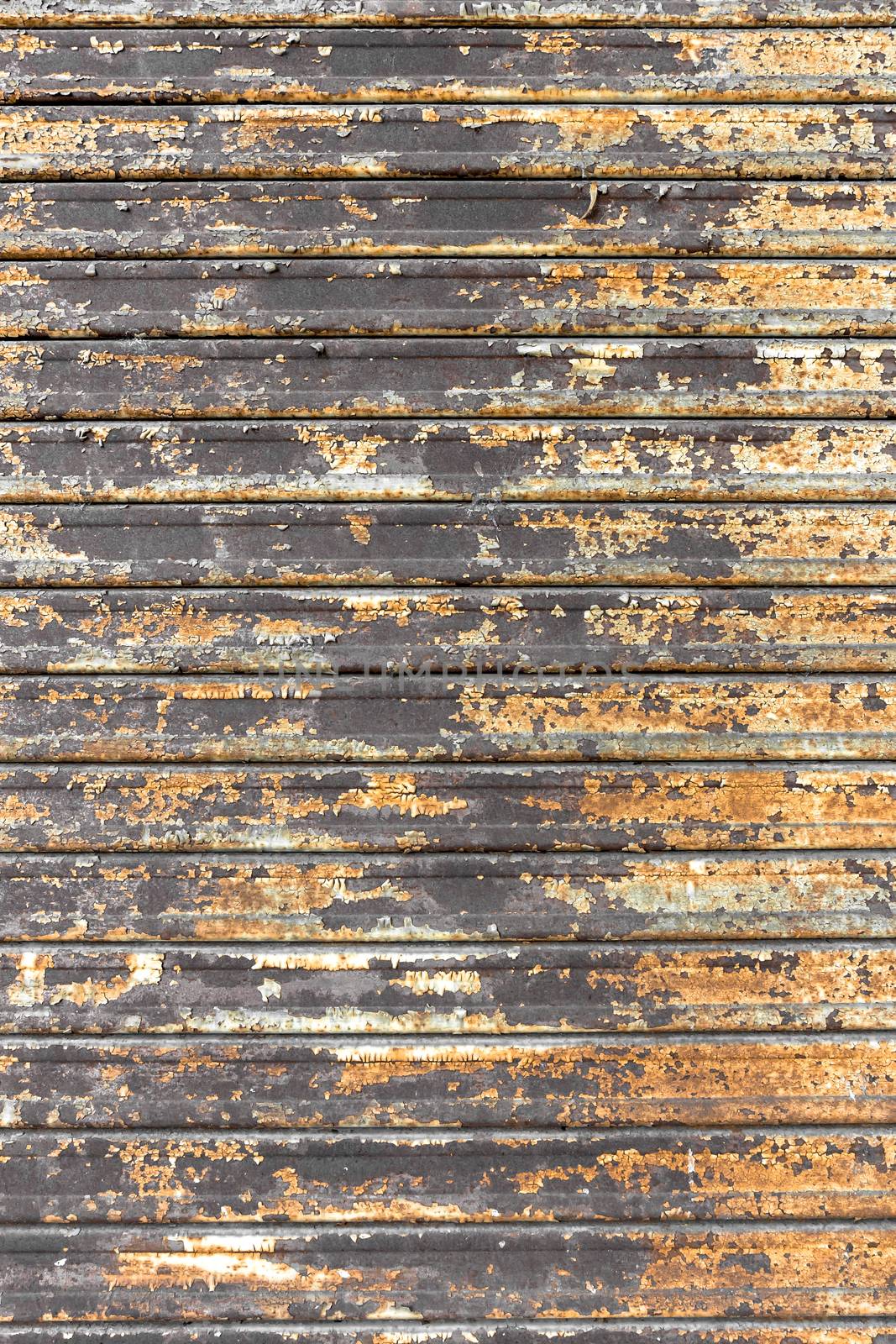 Rusty shutters of a garage. by germanopoli