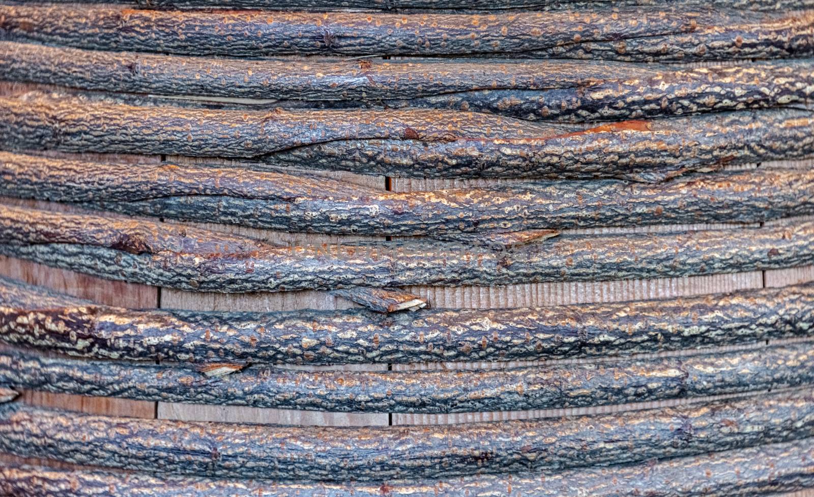 Texture of mixed birch branches splitted in halves. Wooden background for copy space, close up