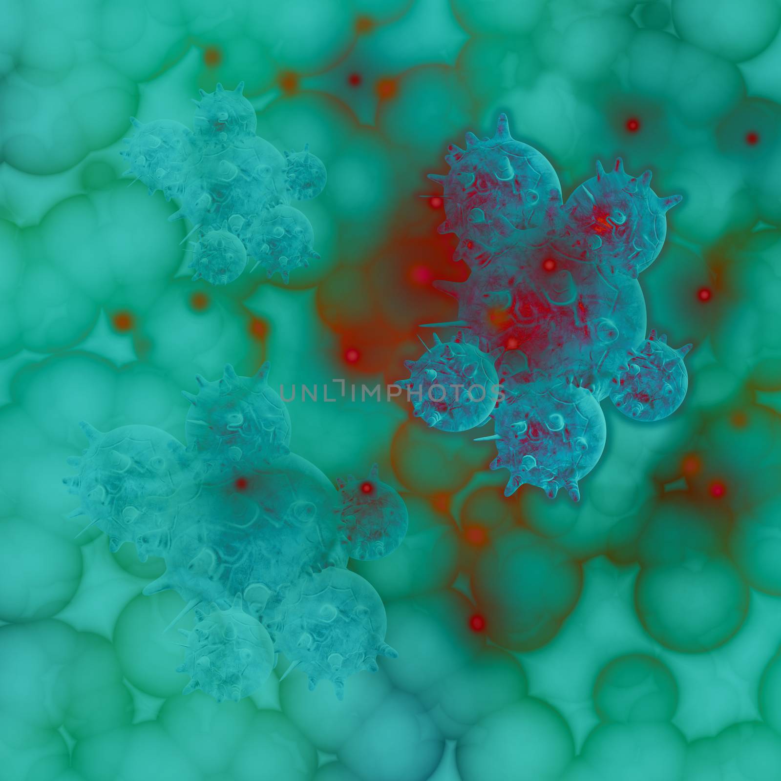 cancer cell by vitanovski