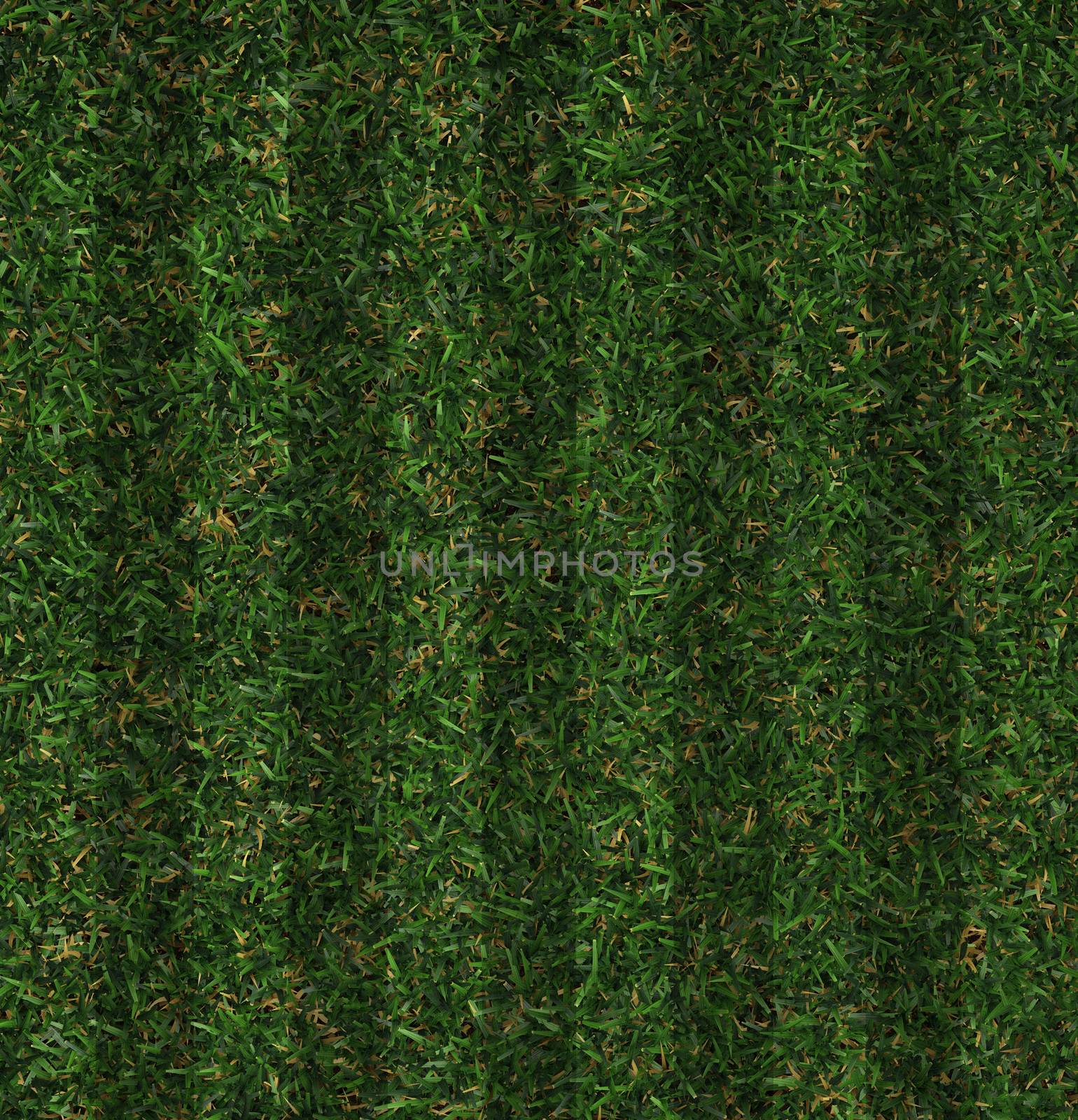 Green grass by vitanovski