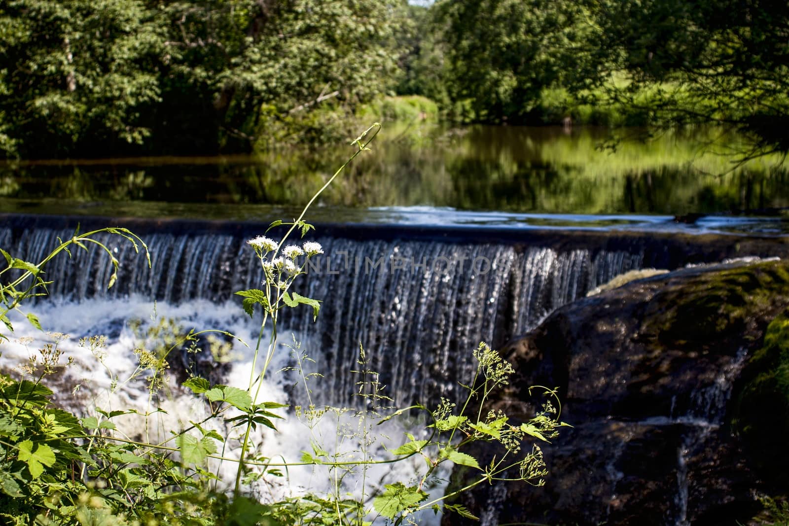 A small waterfall off an old powerplant dam, in the forest