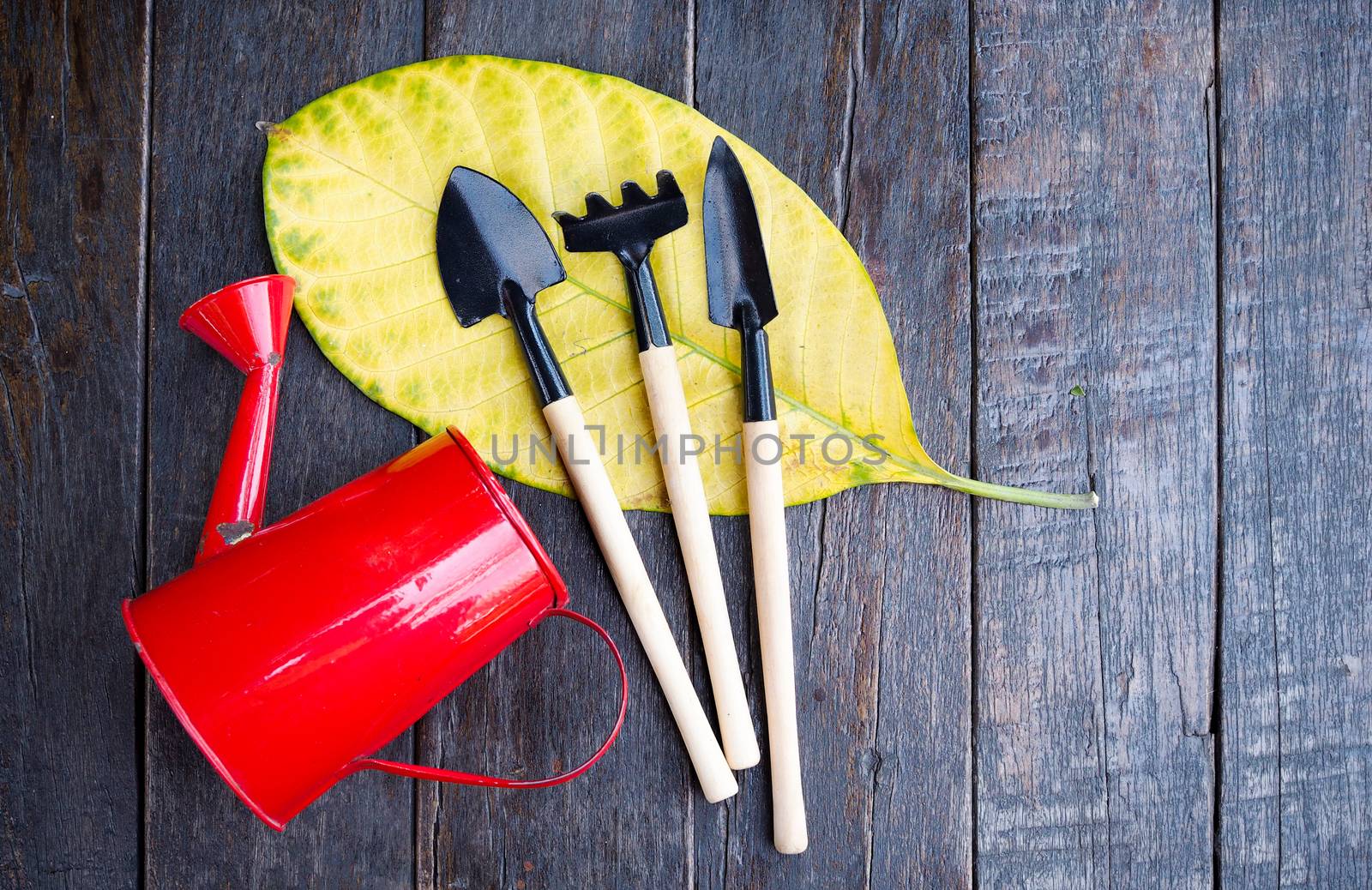Red watering can And gardening equipment tool for planting trees by kittima05