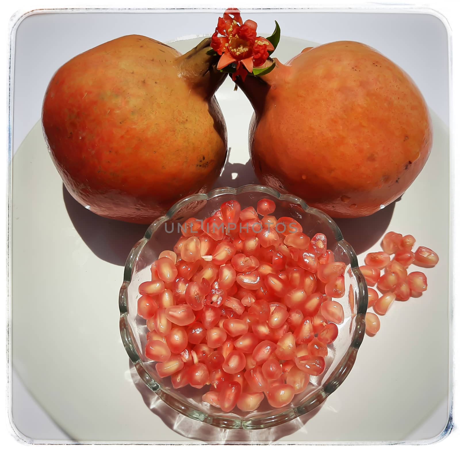 Two Pomegranate and Pomegranate seeds in bowl with shiny red “jewels” inside and its flower buds kept in bowl and placed beautifully in white plate