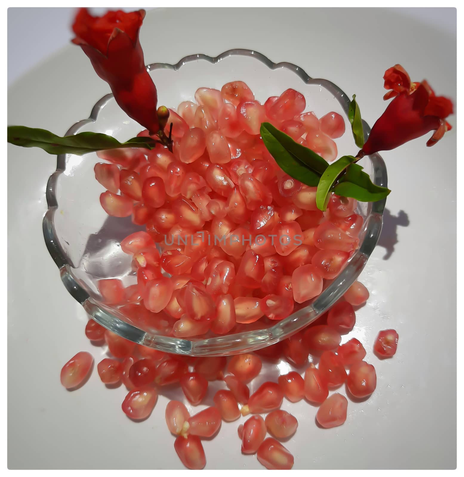 Pomegranate seeds in bowl with shiny red “jewels” inside and its flower buds kept in bowl and placed beautifully in white plate