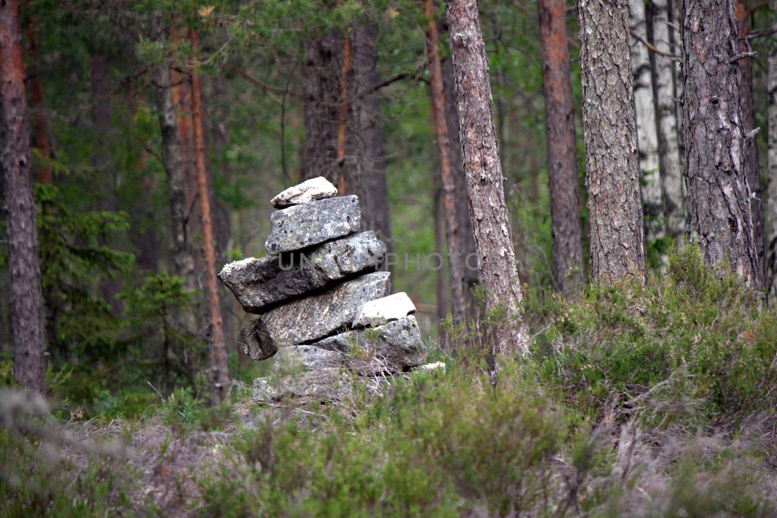 Cairn in the forest