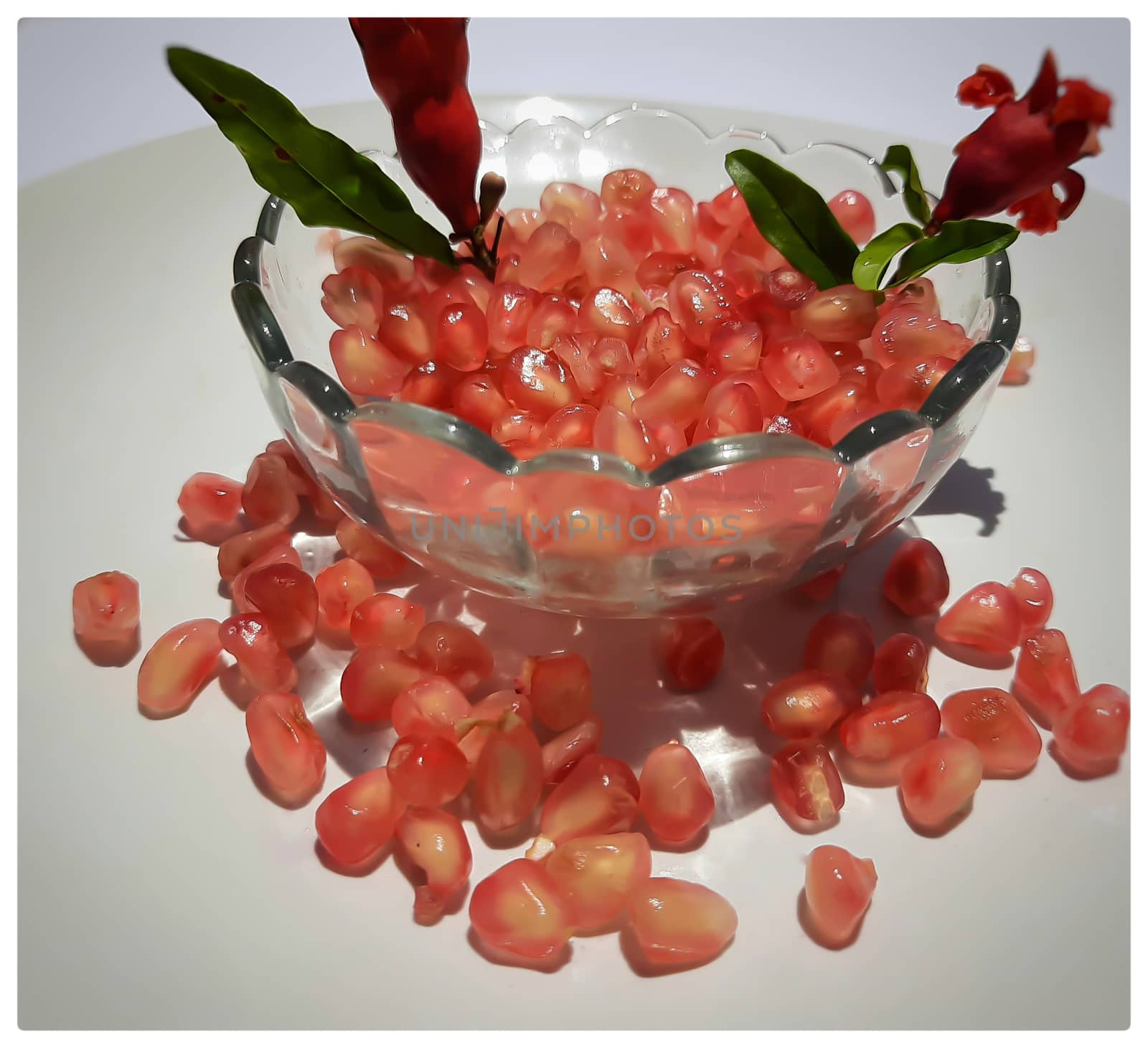 Pomegranate seeds in bowl with shiny red “jewels” inside and its flower buds kept in bowl and placed beautifully in white plate