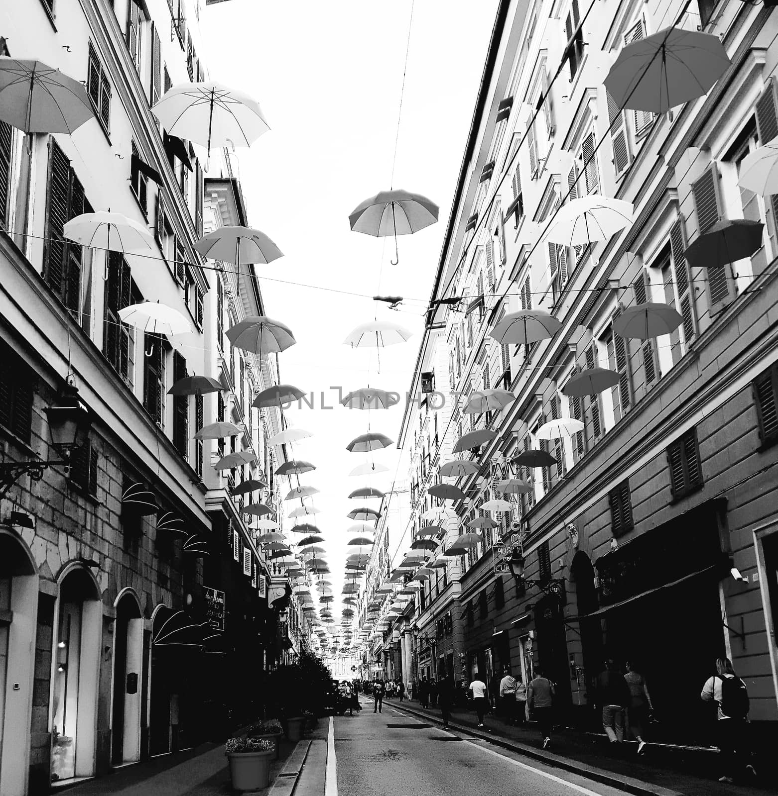 Genova, Italy - 06/01/2020: Bright abstract background of jumble of rainbow colored umbrellas over the city celebrating gay pride