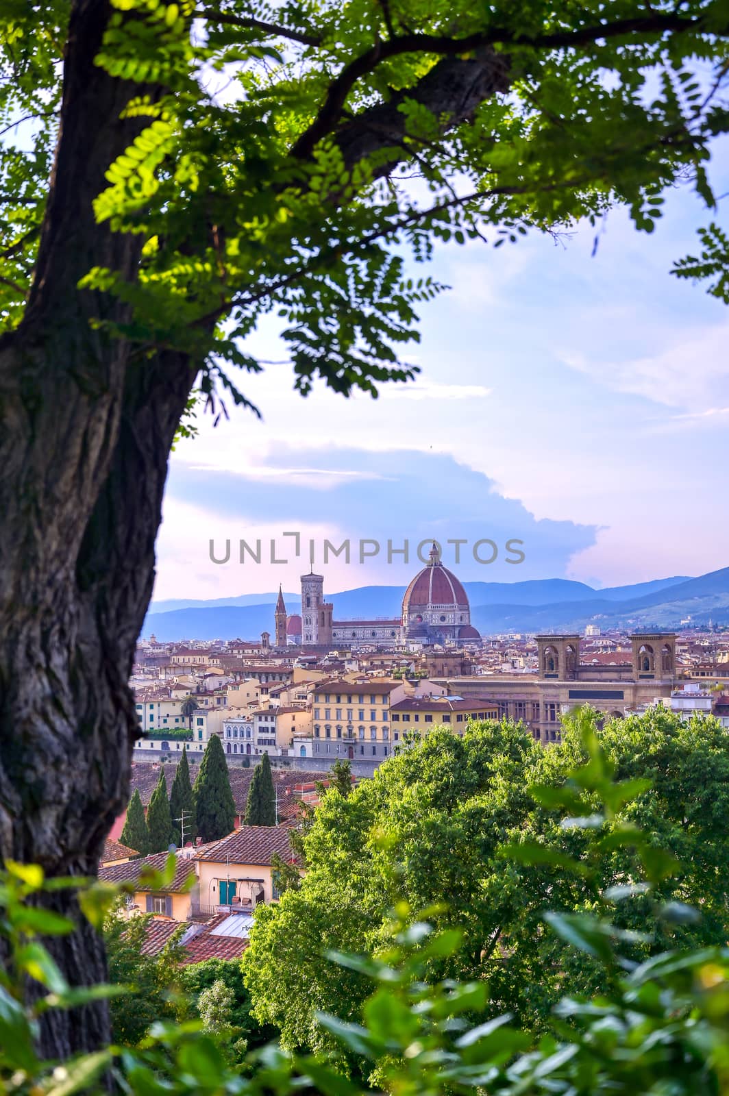 Florence Cathedral located in Florence, Italy by jbyard22