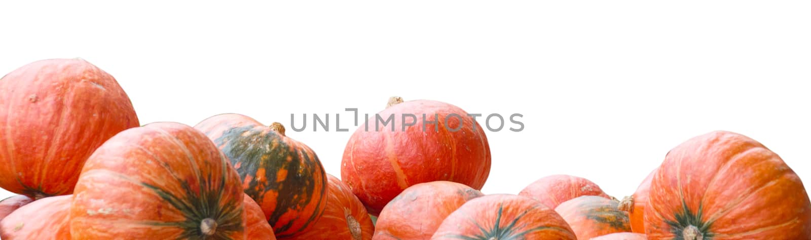 Stack of pumpkins isolated with clipping path autumn season background