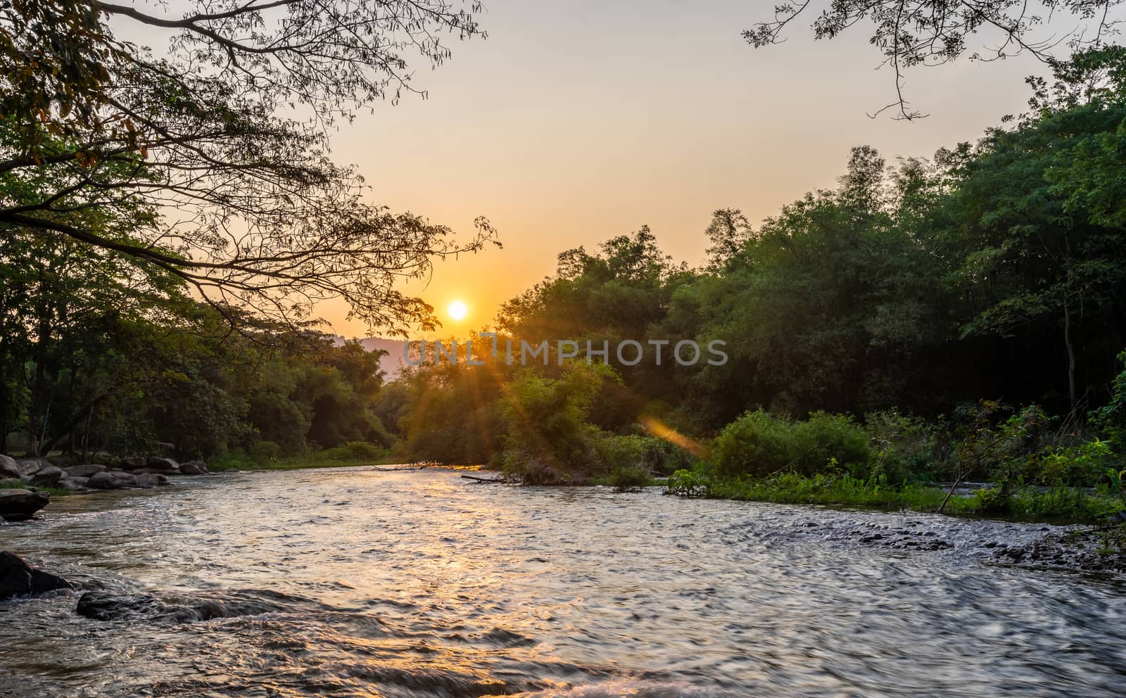 Summer nature forest river stone landscape with sunrise