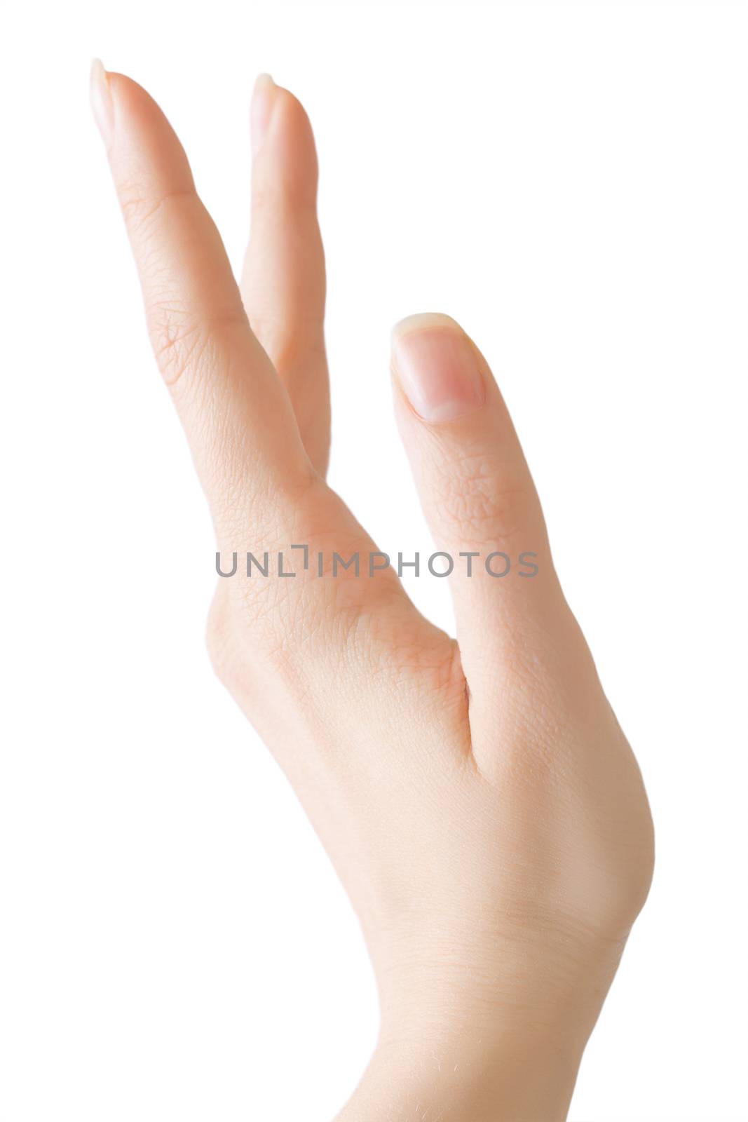 Female hand isolated on white background, beauty and skincare by Anneleven