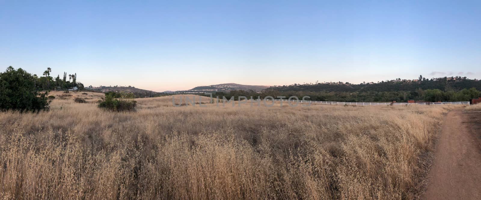 Dry grass and wheat field meadow during sunset. by Bonandbon