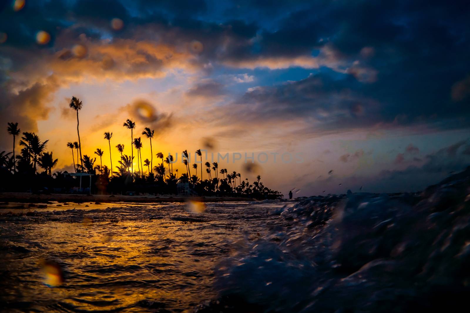 Silhouettes of palm trees on the fion of a beautiful multi-colored sunset. Orange sunset on a tropical island in the ocean. Sunset on the beach of Caribbean sea, Dominican Republic.