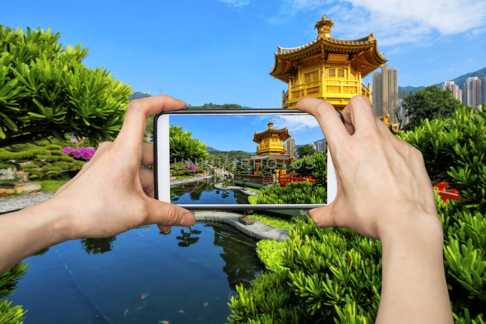 Girl taking pictures on mobile smart phone in Jiuzhaigou National Park,China