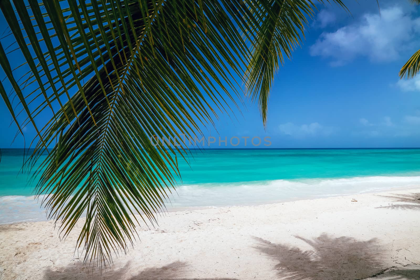 View of the turquoise water through the leaves of palm trees. Sunny tropical exotic Caribbean paradise beach with white sand, azure water and palm tree branches over blue sky. Caribbean Sea coast, Dominican republic, Saona island.