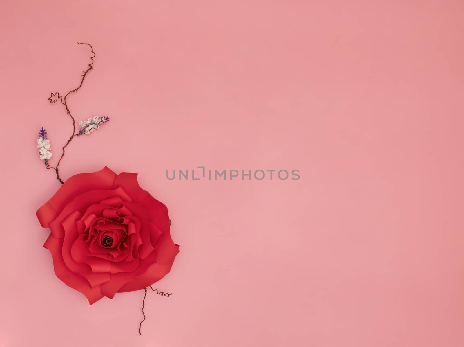 A red paper rose and tiny white flowers with dried veins on salmon pink background.