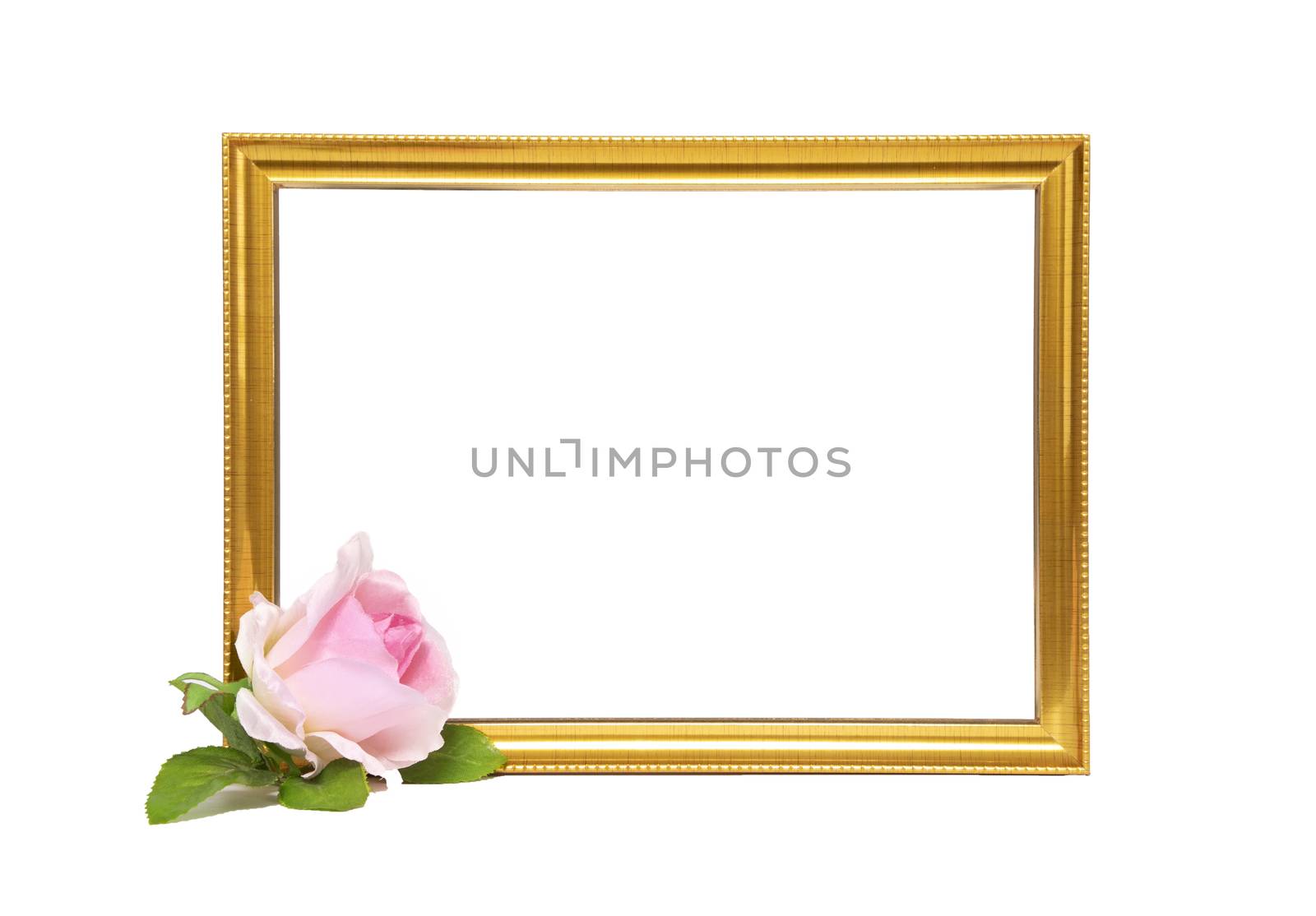 Gold frame and pink rose by Nawoot