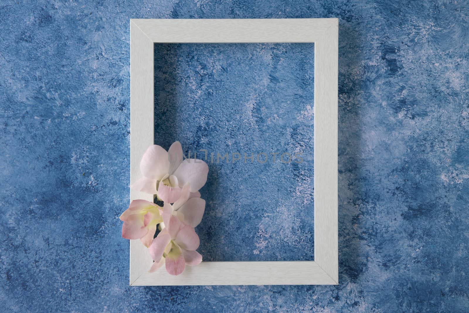 Soft pink tropical orchids on a white wooden frame and blue and white acrylic paint background. Top view, flat lay with copy space. Template mockup.