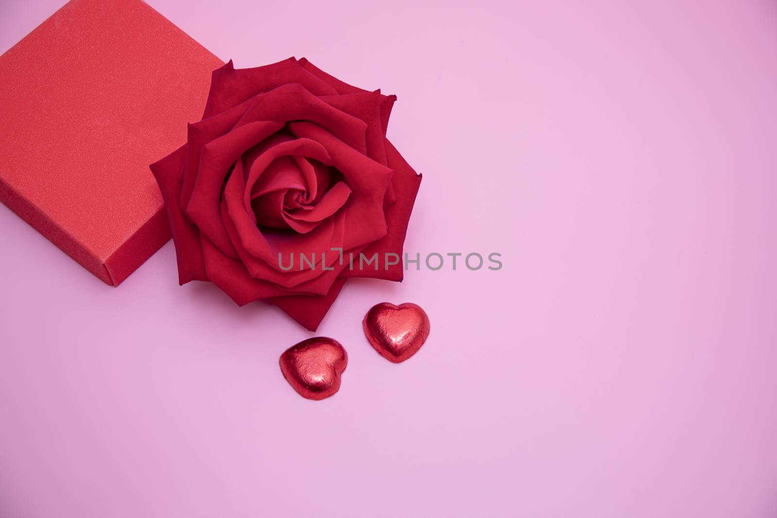 Closeup of a red rose with two chocolate candy hearts and a red gift box on pink background. Valentine's, anniversary, wedding concept.