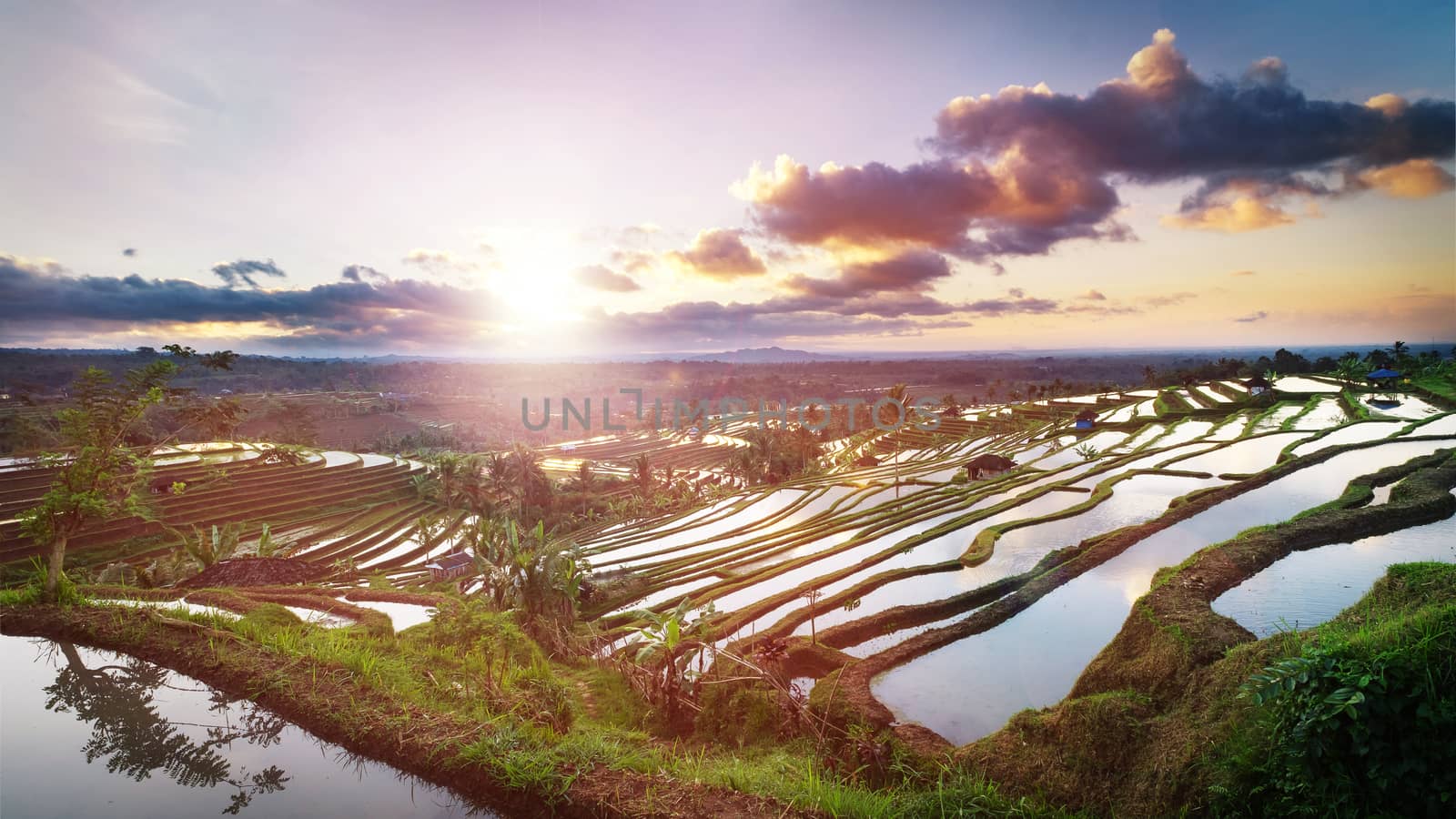 Beautiful sunrise over the Jatiluwih Rice Terraces in Bali, Indonesia.