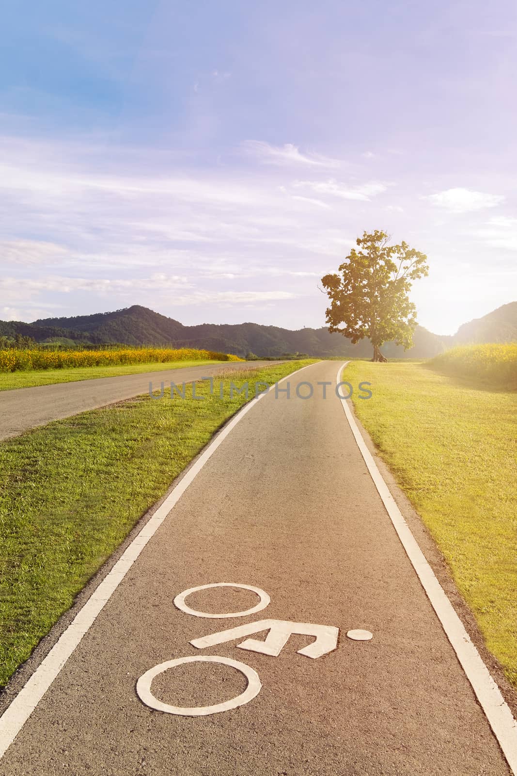 Scenery bicycle lane on a hill with a tree, blue sky and mountain forest background.