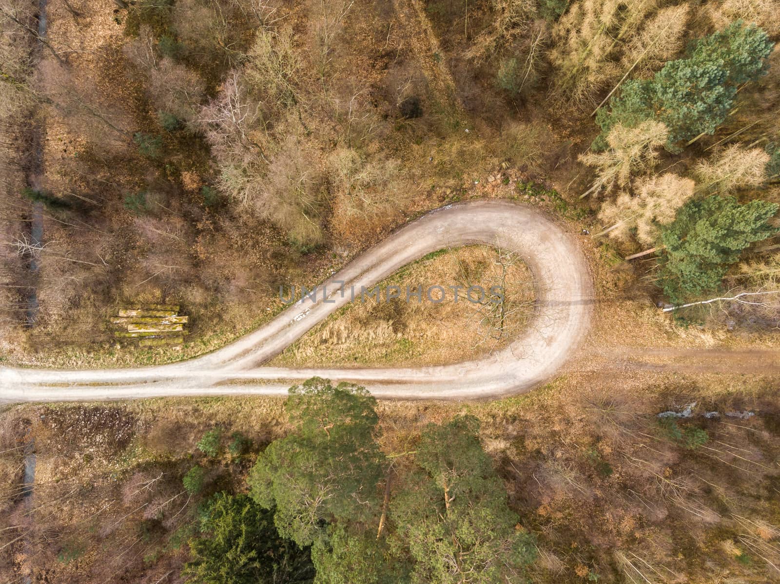 Aerial photograph taken vertically from a turning loop in a forest ridge with large spruce, pine and fir trees, abstract aerial view, drone shot