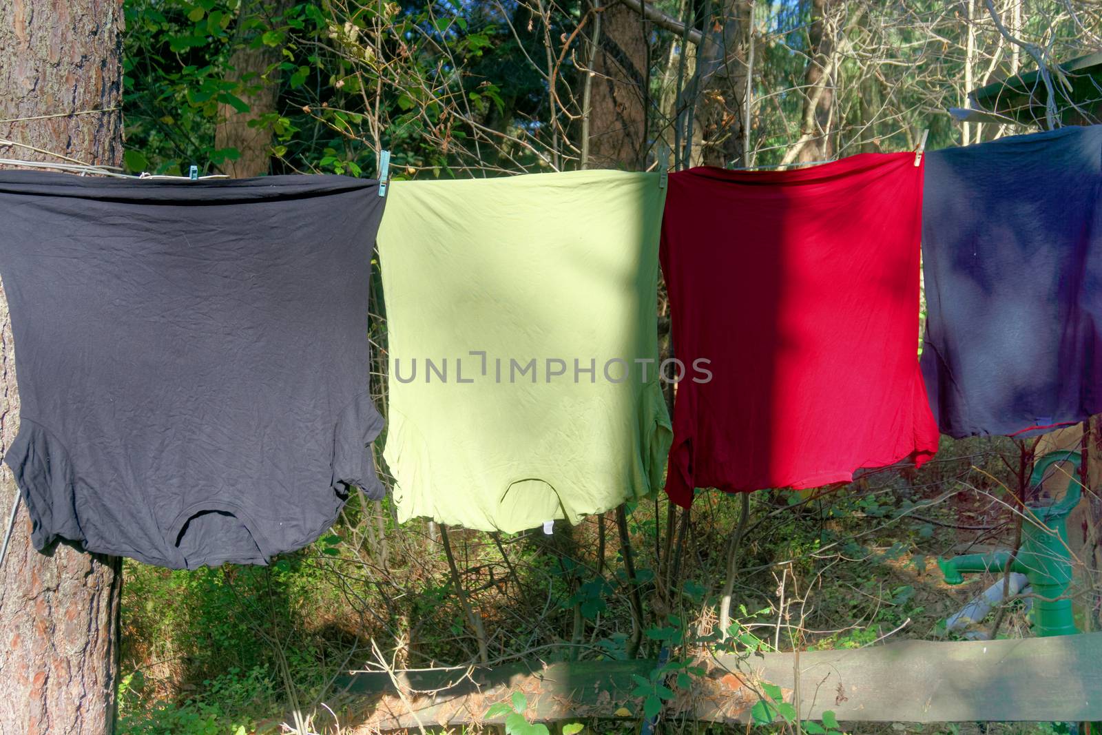 Four T. shirts in different colors on a clothesline with blue ugly old clothespins between two pine trees in a sun-drenched forest, concept photo