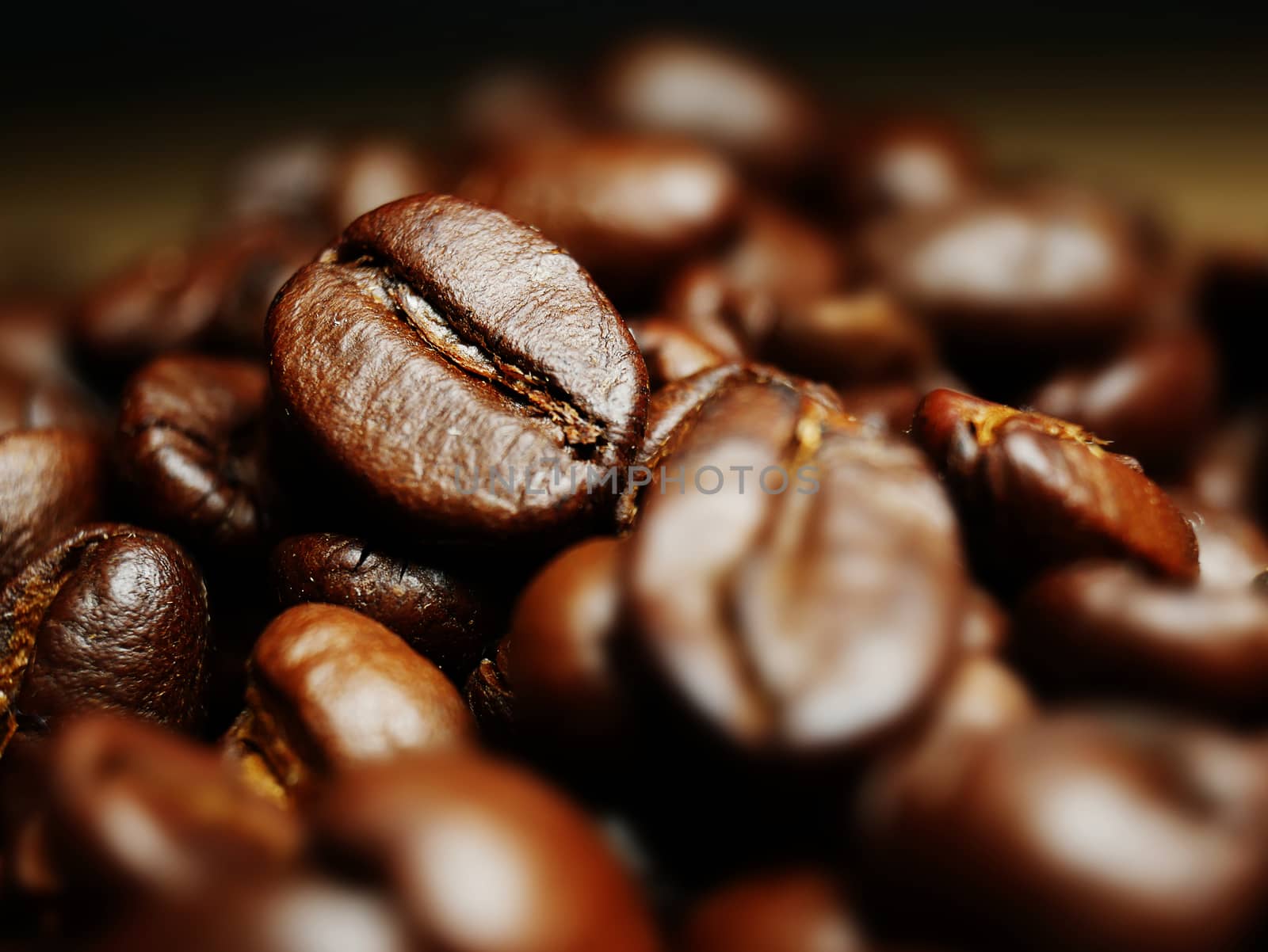 Close-up photo roasted coffee beans with focus on one seed.