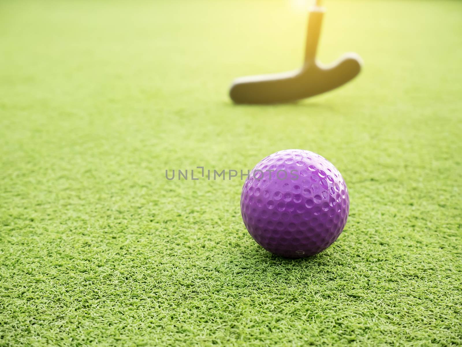 Golf club and ball in grass and sunset