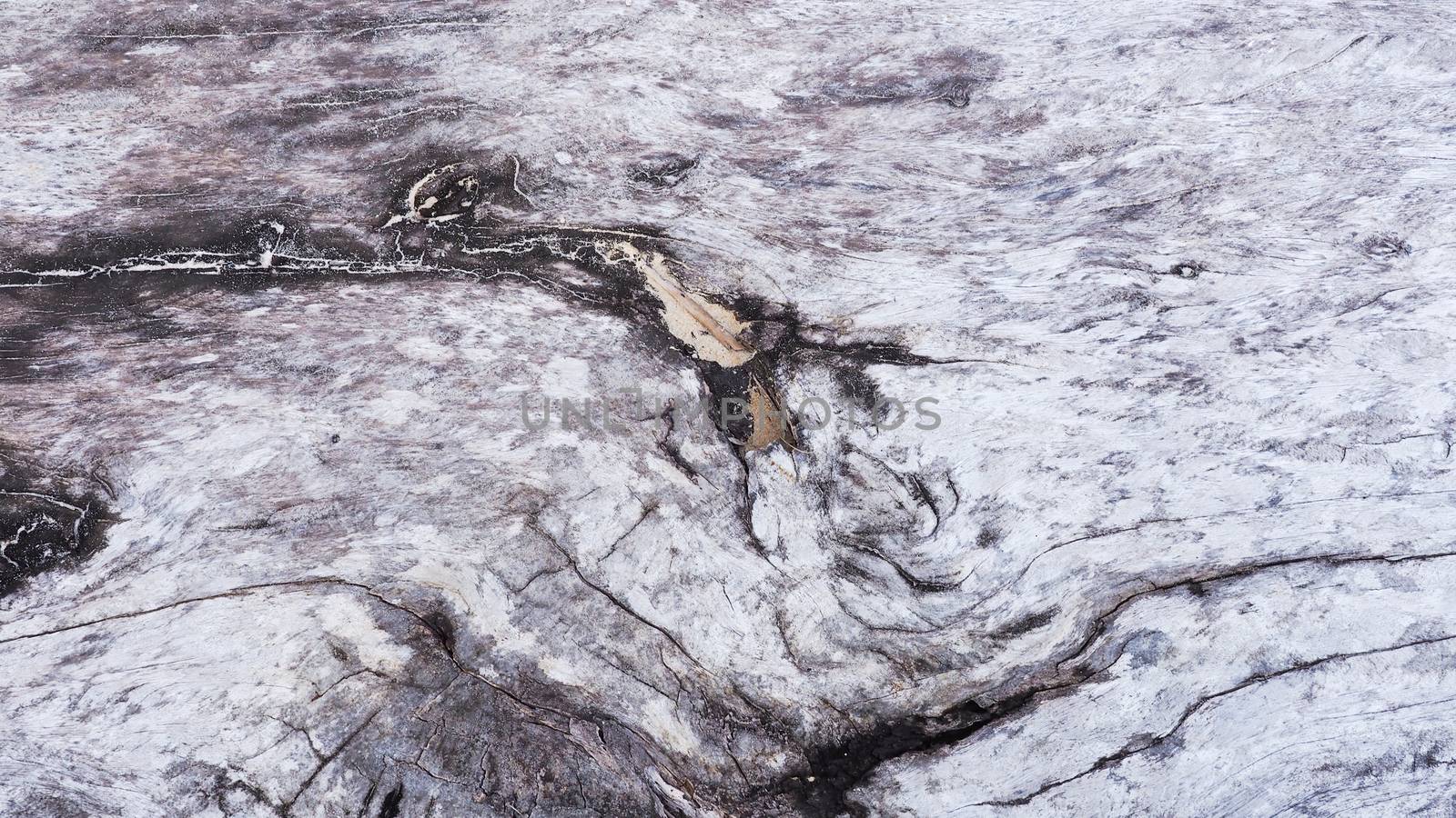 Abstract background with old wood surface