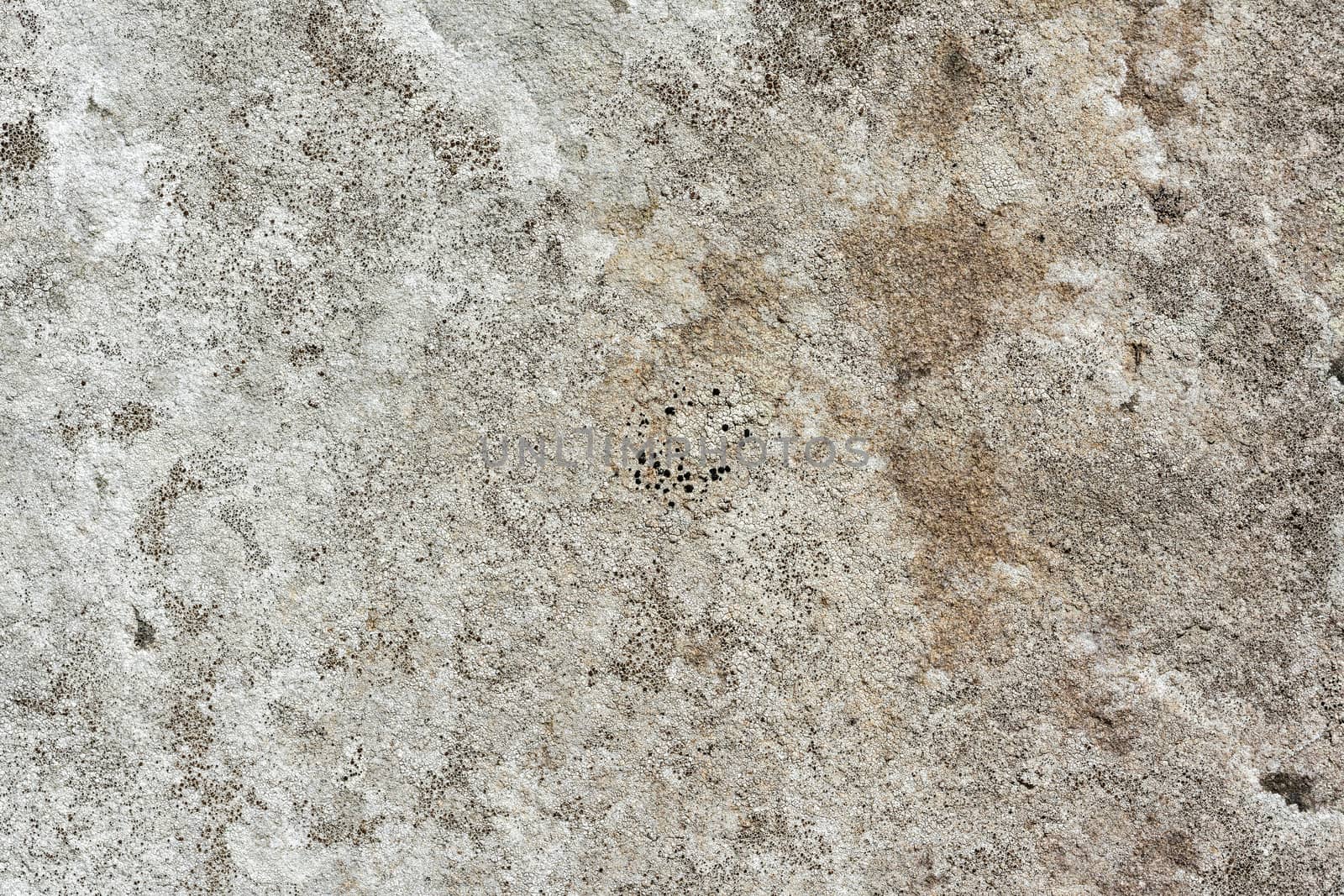 Grey concrete rough wall distressed grunge background