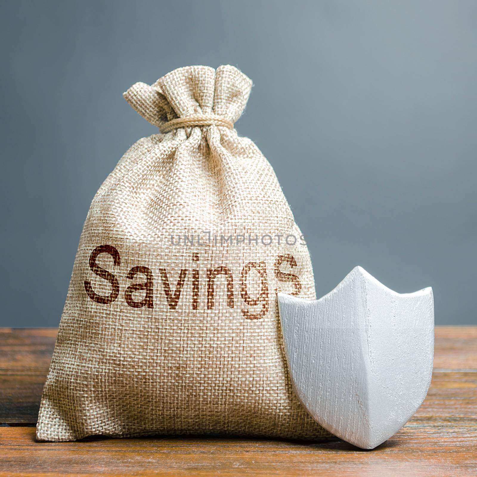 Bag with the words Savings and protection shield. Concept of protection of savings and cash, guaranteed deposits. Compensation for losses in inflation, safeguarded investment capital.