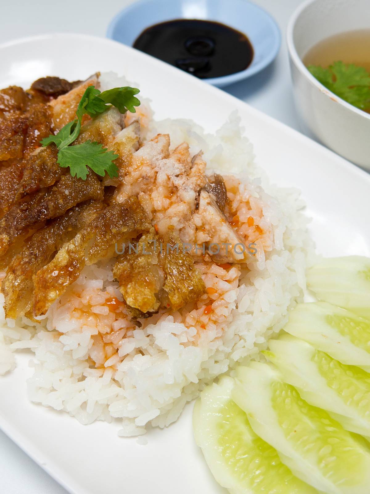 BBQ Pork and Crispy Pork with Rice. Closeup Useful as background for design-works. closeup (Thai food)