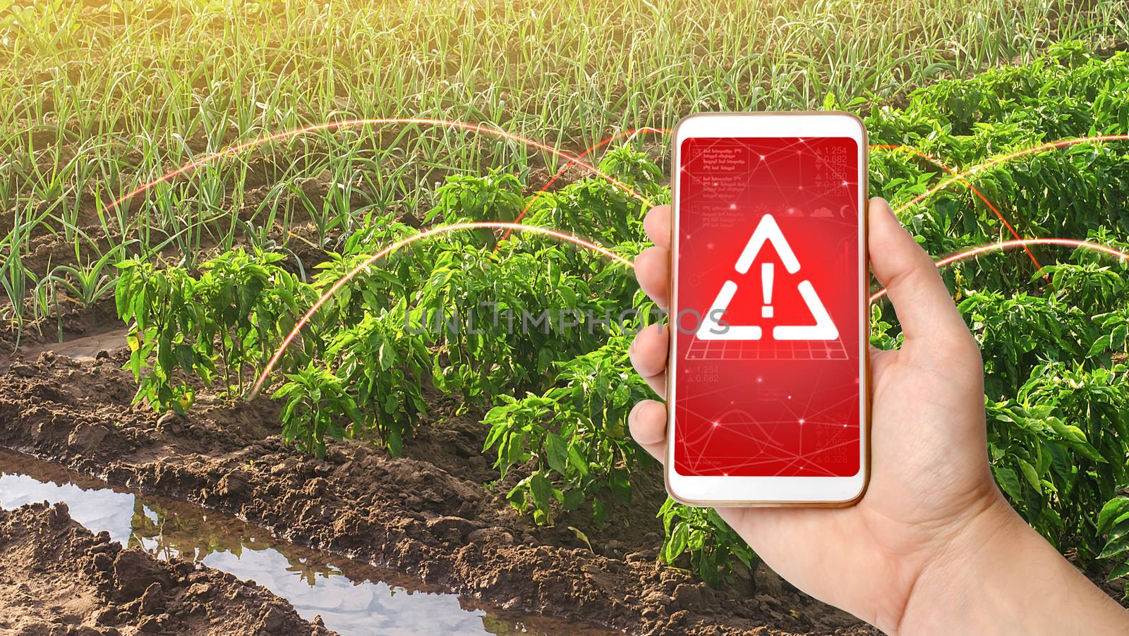 A phone and a warning sign on the background of bell pepper and leek onions plantations. Growing vegetables on the farm, harvesting for sale. Agribusiness and farming. Improving efficiency by iLixe48