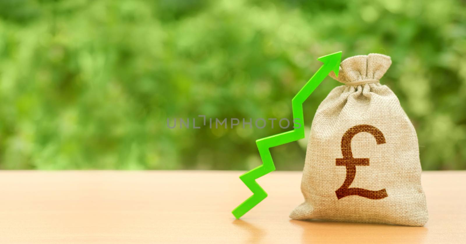 Money bag with pound sterling GBP symbol and green up arrow. Increase profits and wealth. Growth wages. Investment attraction. Loans, subsidies. favorable conditions. Favorable conditions for business by iLixe48